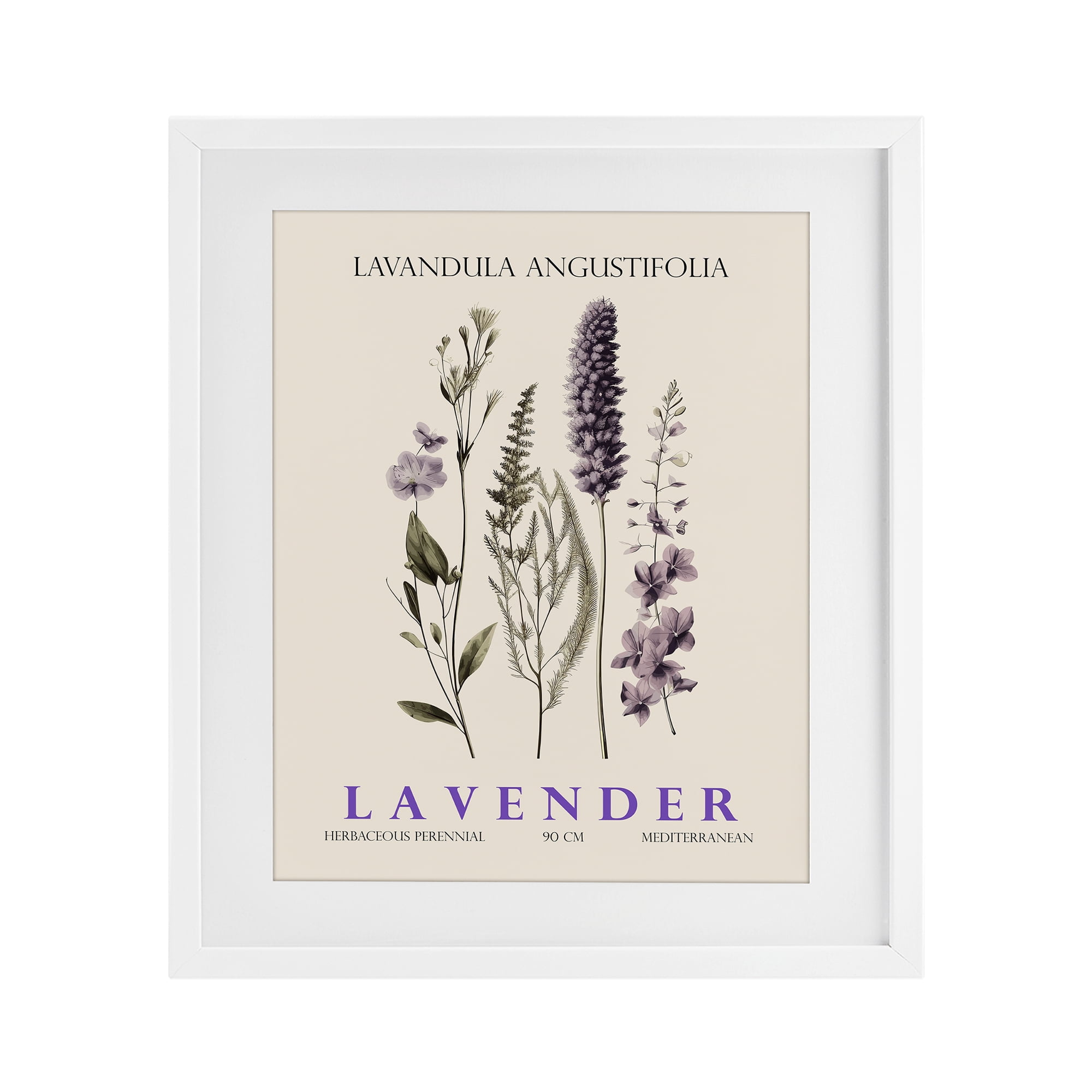 Stupell Industries Natural Lavender Bundle White Framed Print Under Glass, design by Christopher Giampietro