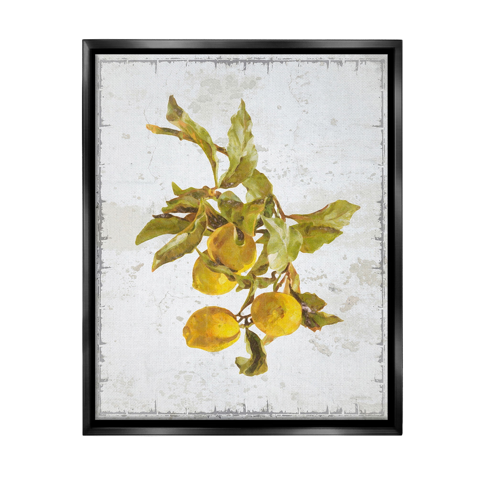 Stupell Industries Natural Lemon Branch Food & Beverage Painting Black Floater Framed Canvas Art Print Wall Art, 17 x 21