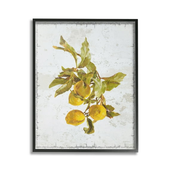 Stupell Industries Natural Lemon Branch Food & Beverage Painting Black Framed Art Print Wall Art, 16 x 20