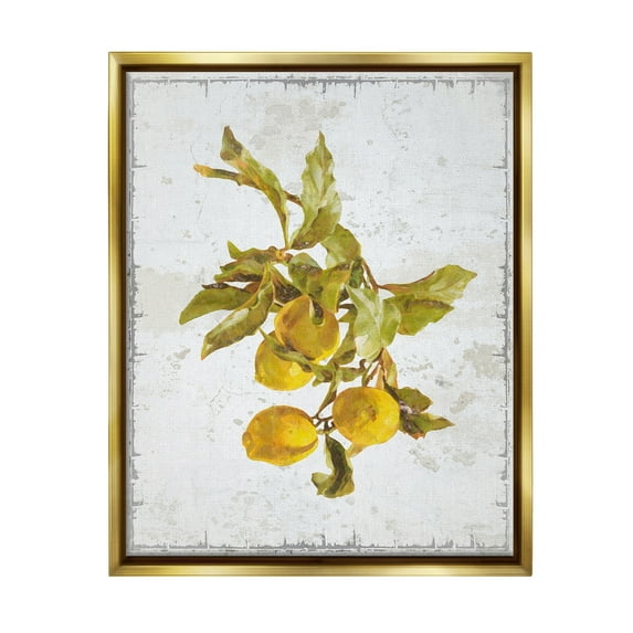 Stupell Industries Natural Lemon Branch Food & Beverage Painting Gold Floater Framed Canvas Art Print Wall Art, 17 x 21