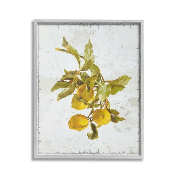 Stupell Industries Natural Lemon Branch Food & Beverage Painting Gray Framed Art Print Wall Art, 16 x 20