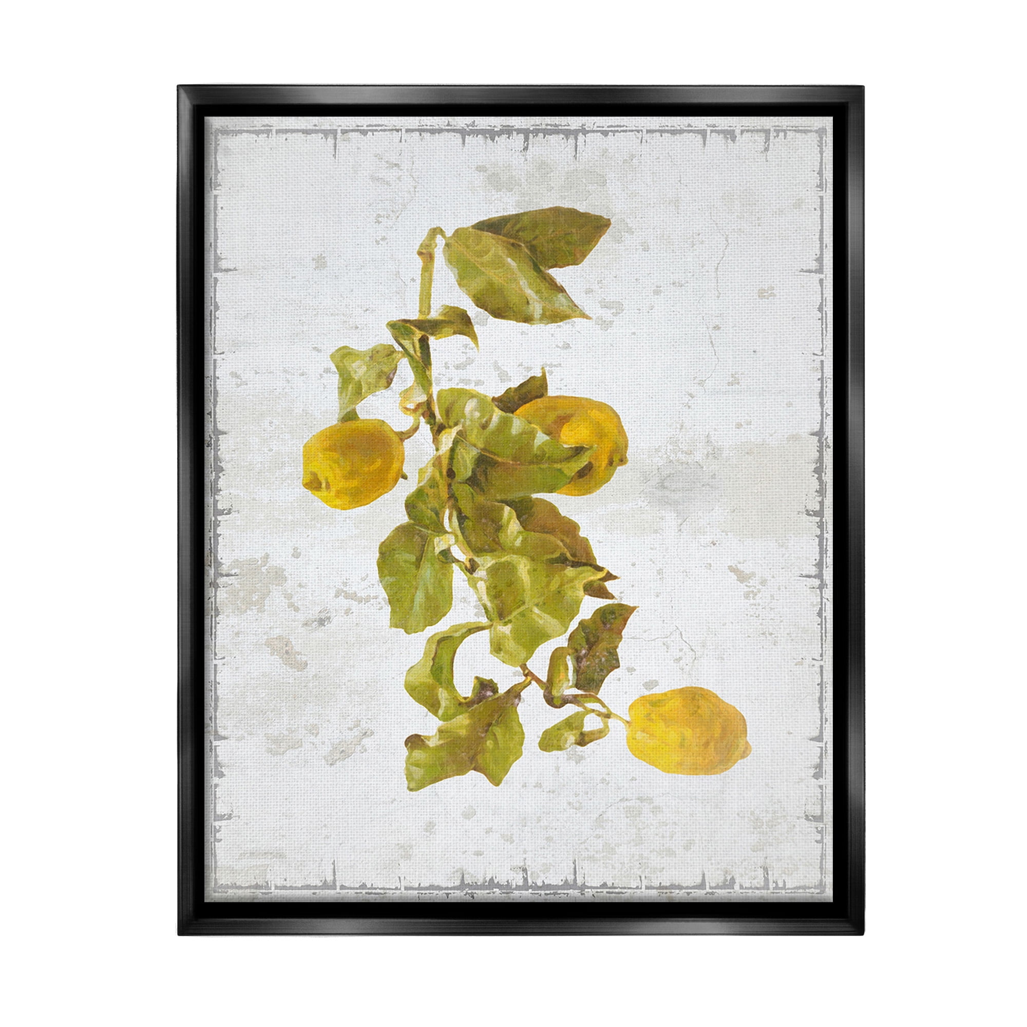 Stupell Industries Natural Lemon Fruits Food & Beverage Painting Black Floater Framed Canvas Art Print Wall Art, 25 x 31