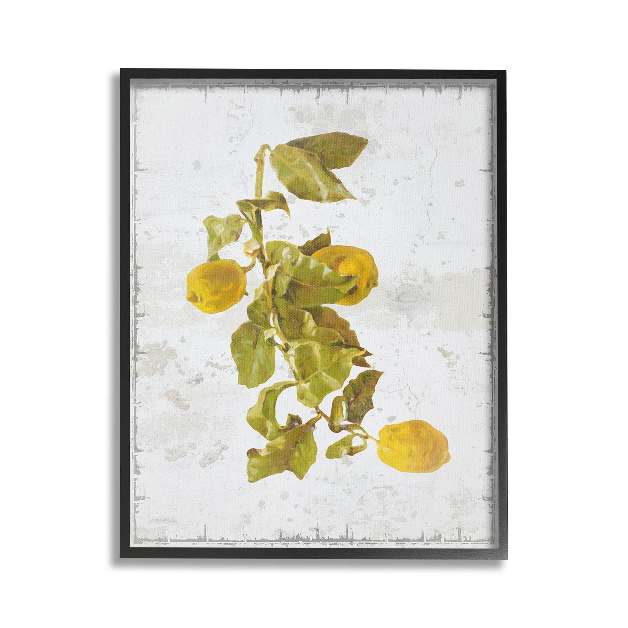 Stupell Industries Natural Lemon Fruits Food & Beverage Painting Black Framed Art Print Wall Art, 24 x 30