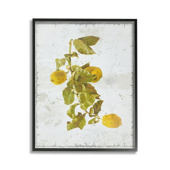 Stupell Industries Natural Lemon Fruits Food & Beverage Painting Black Framed Art Print Wall Art, 24 x 30