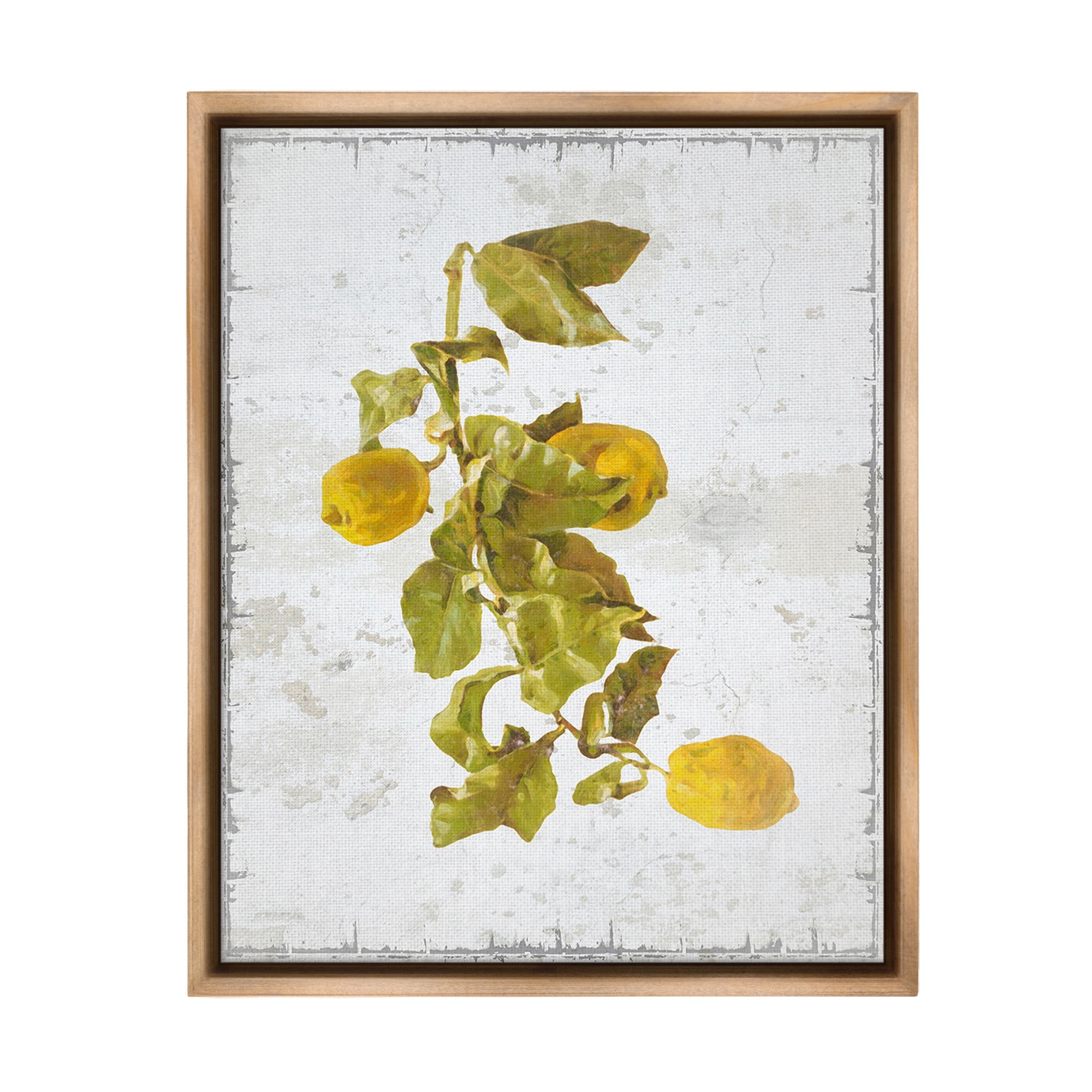 Stupell Industries Natural Lemon Fruits Food & Beverage Painting Brown Floater Framed Canvas Art Print Wall Art, 25 x 31