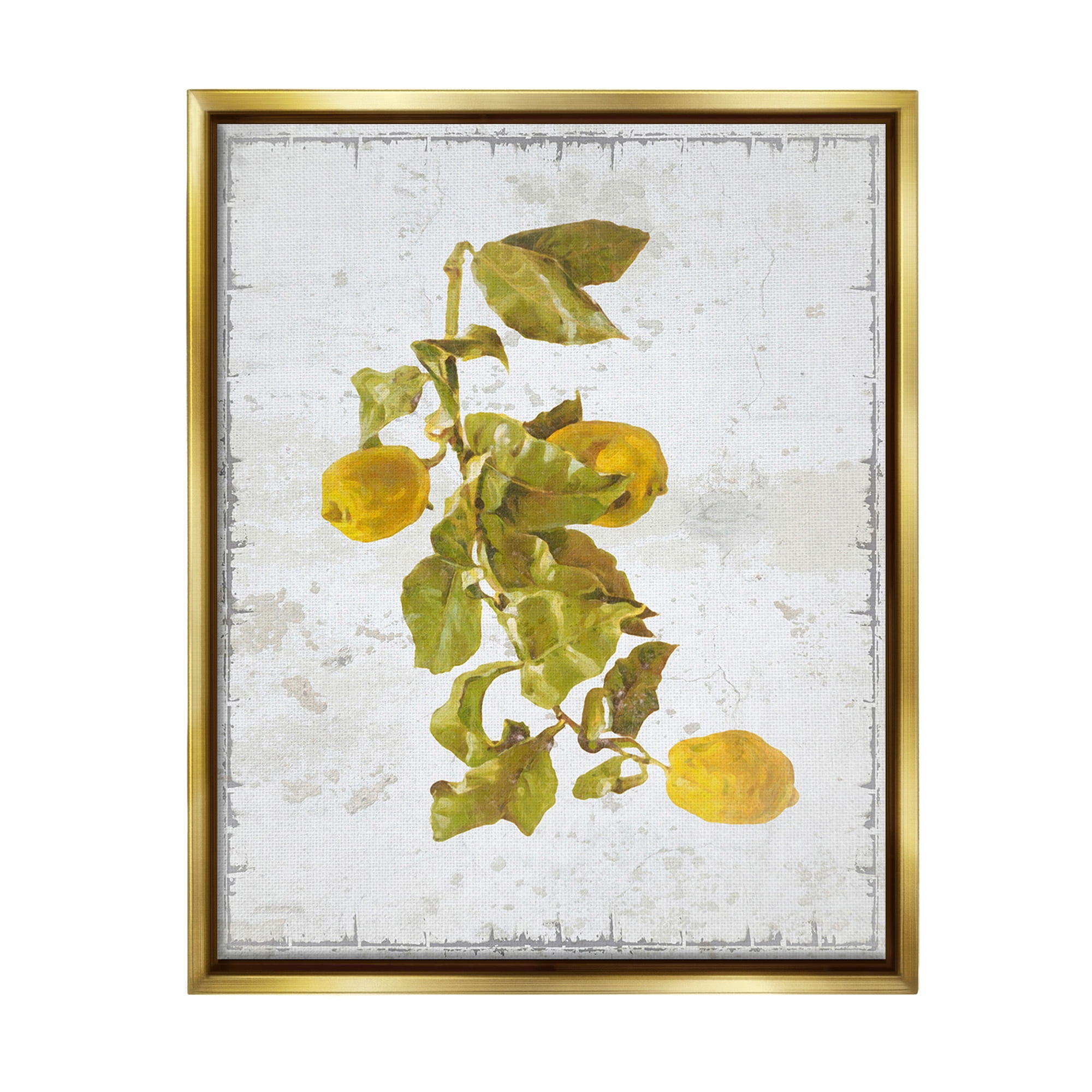 Stupell Industries Natural Lemon Fruits Food & Beverage Painting Gold Floater Framed Canvas Art Print Wall Art, 17 x 21