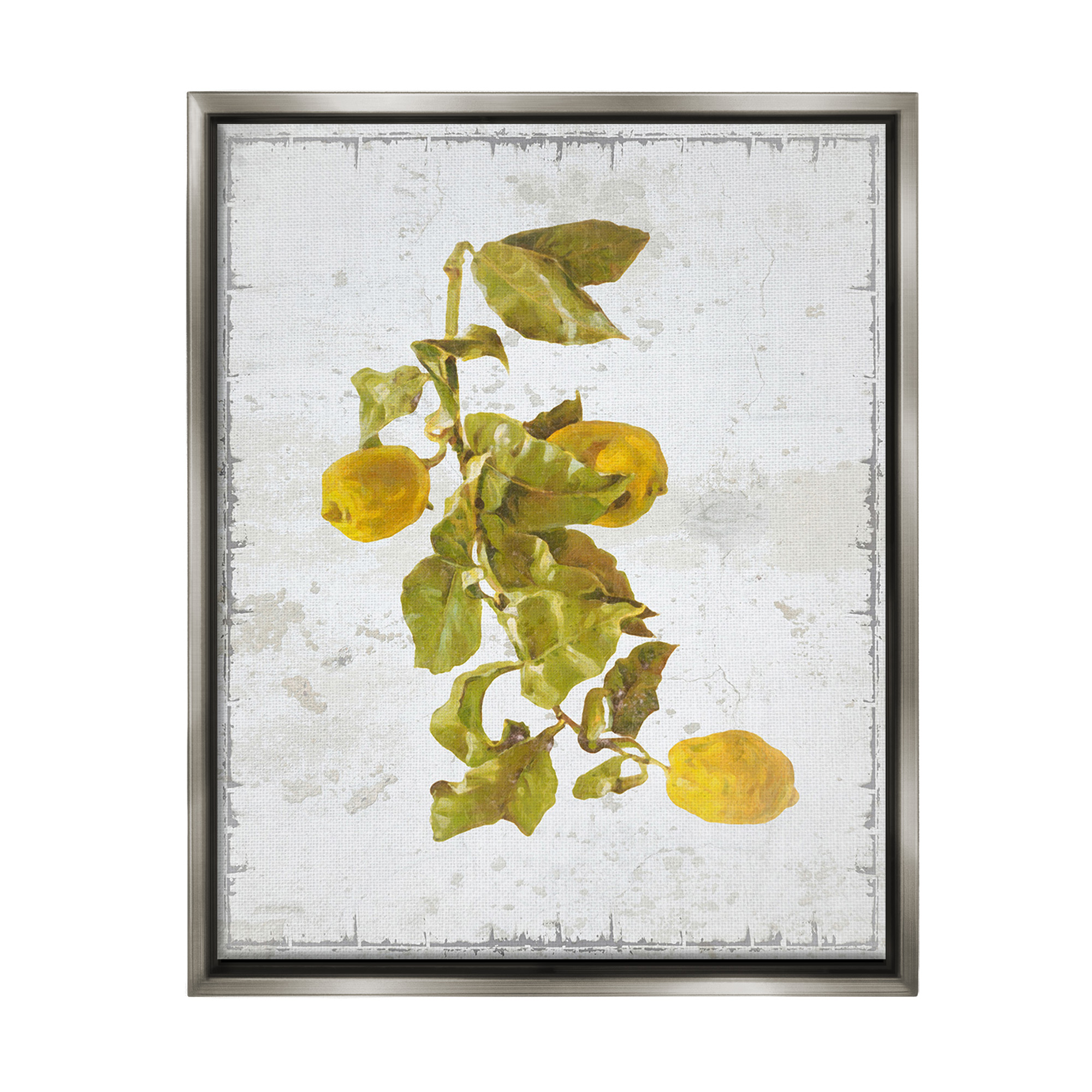 Stupell Industries Natural Lemon Fruits Food & Beverage Painting Gray Floater Framed Canvas Art Print Wall Art, 17 x 21