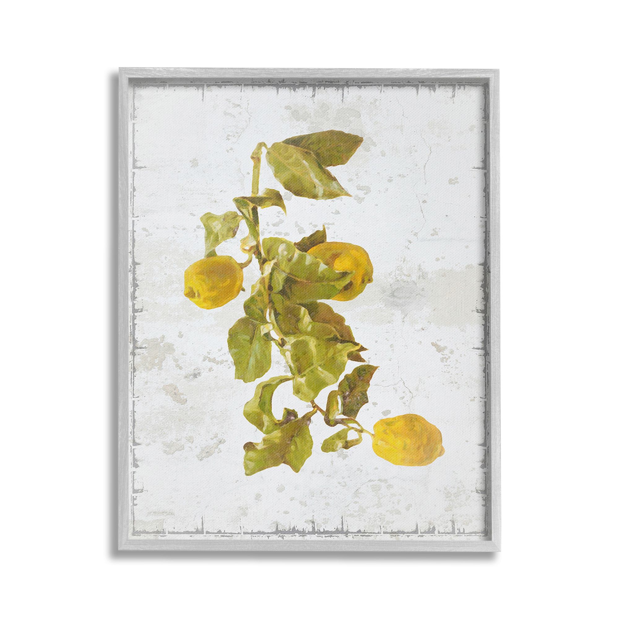 Stupell Industries Natural Lemon Fruits Food & Beverage Painting Gray Framed Art Print Wall Art, 16 x 20