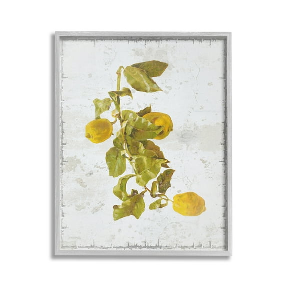 Stupell Industries Natural Lemon Fruits Food & Beverage Painting Gray Framed Art Print Wall Art, 24 x 30