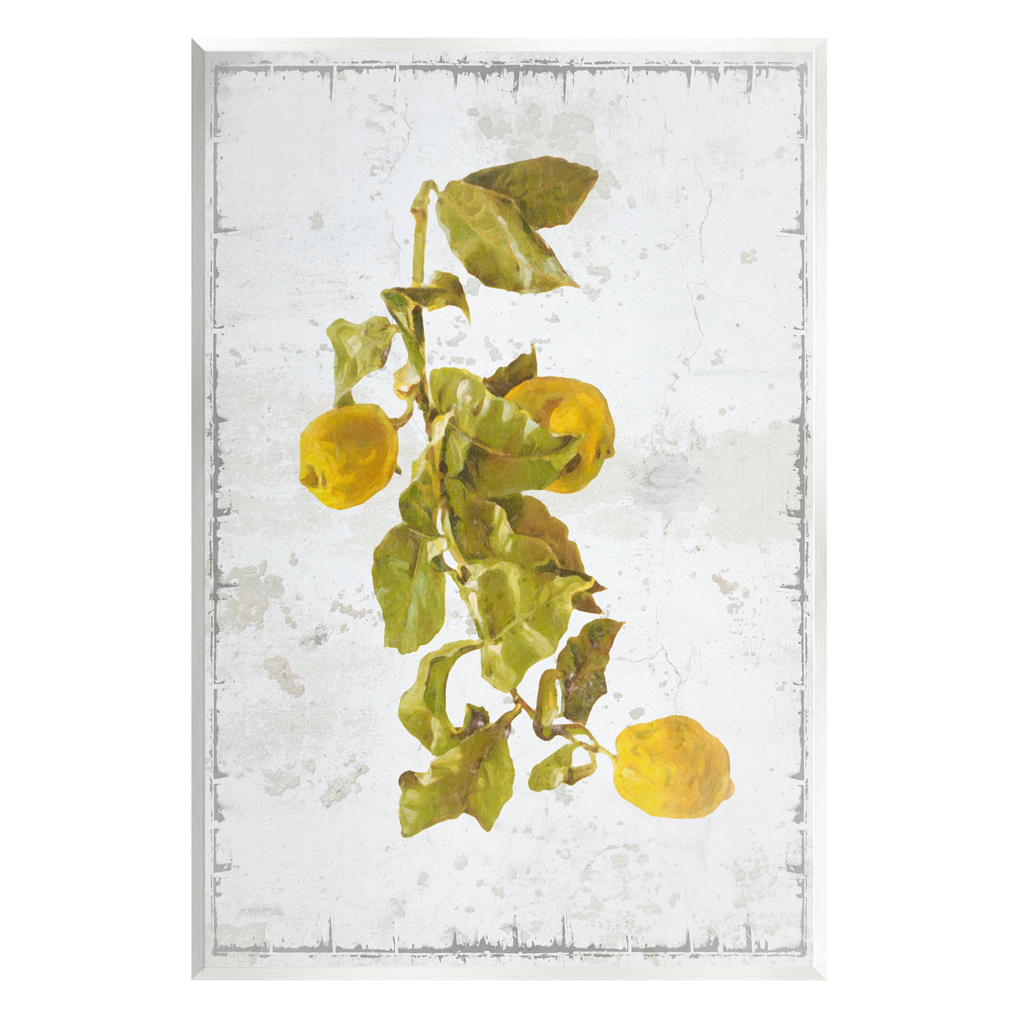 Stupell Industries Natural Lemon Fruits Food & Beverage Painting Unframed Art Print Wall Art, 13 x 19
