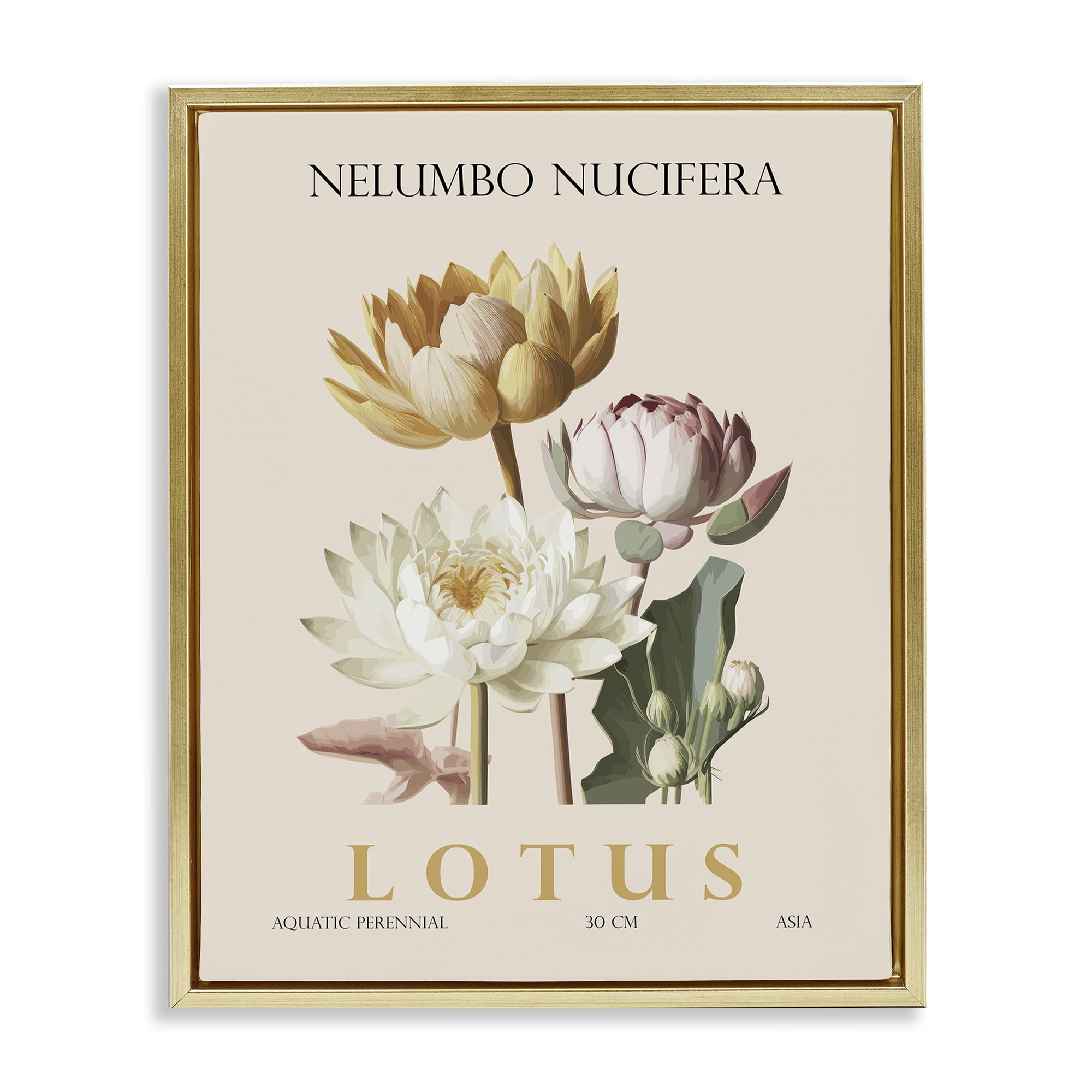 Stupell Industries Natural Lotus Bundle Gold Framed Floater Canvas Wall Art, design by Christopher Giampietro