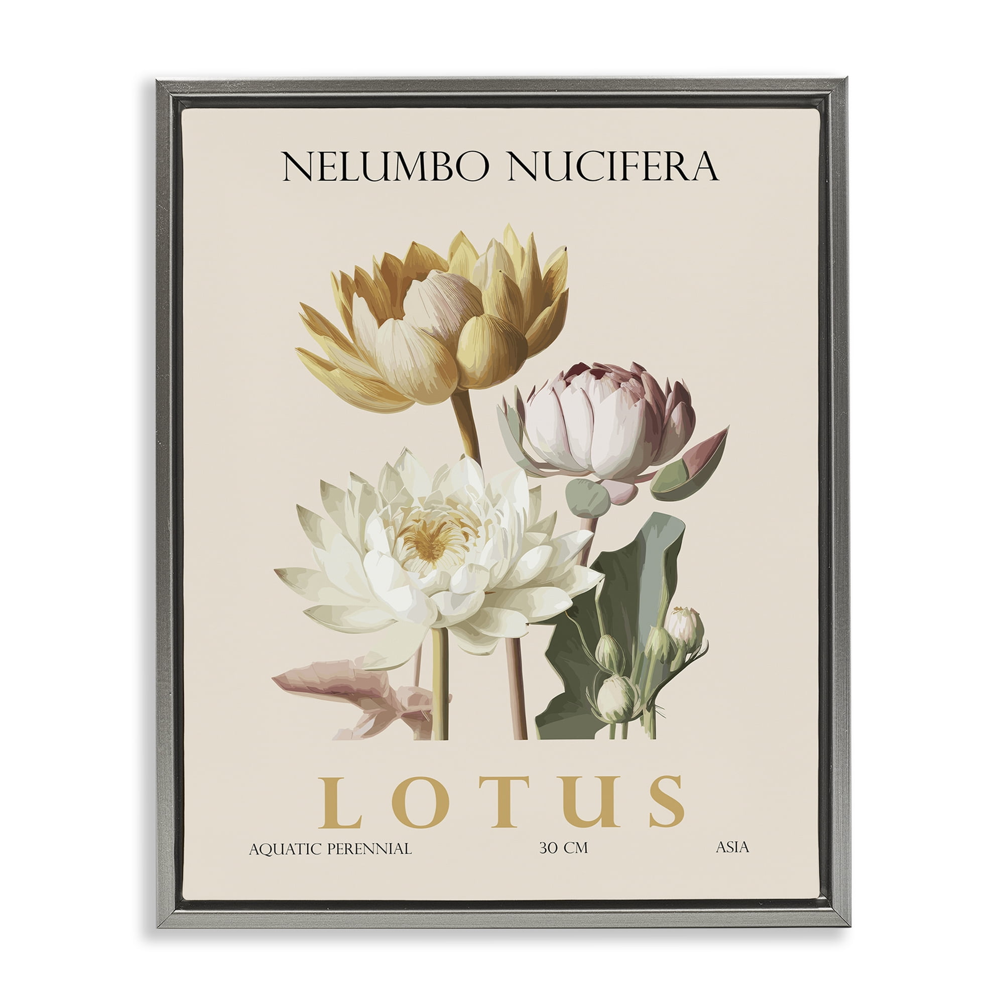 Stupell Industries Natural Lotus Bundle Gray Framed Floater Canvas Wall Art, design by Christopher Giampietro