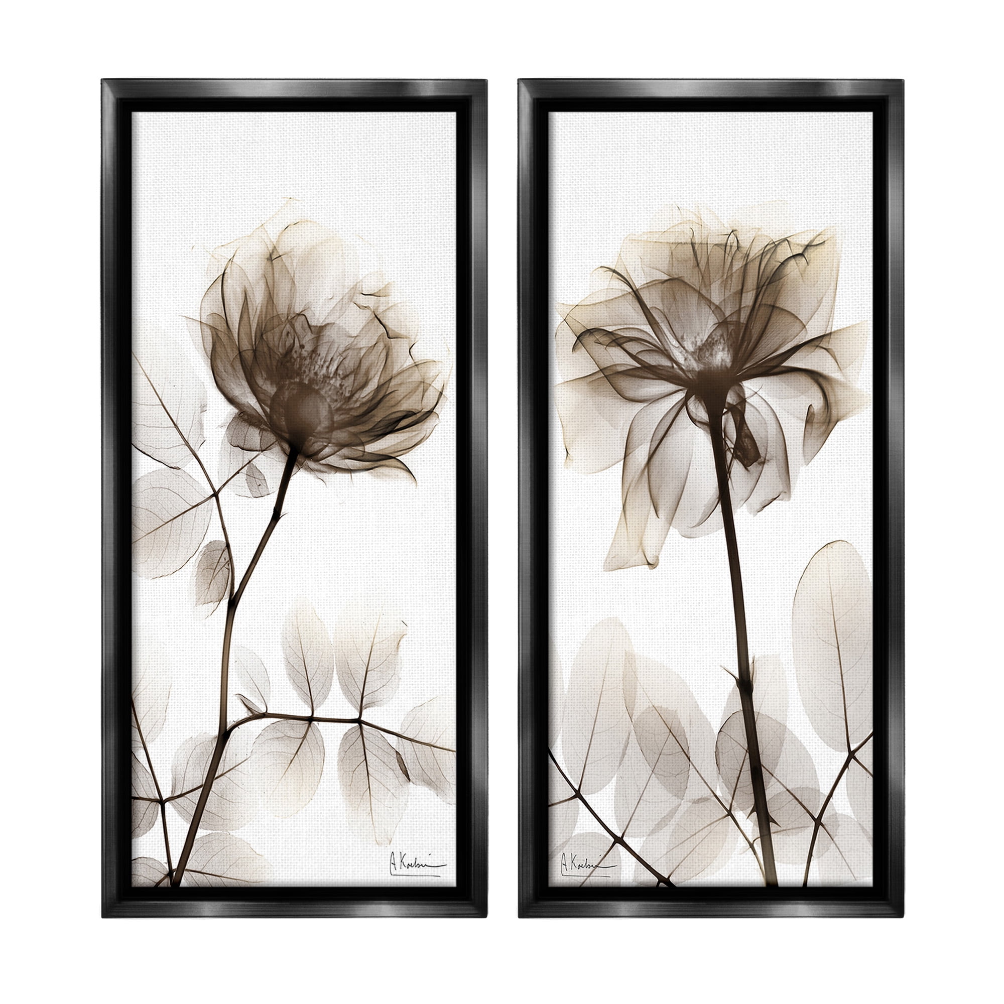 Stupell Industries Natural Modern Blooms Botanical & Floral