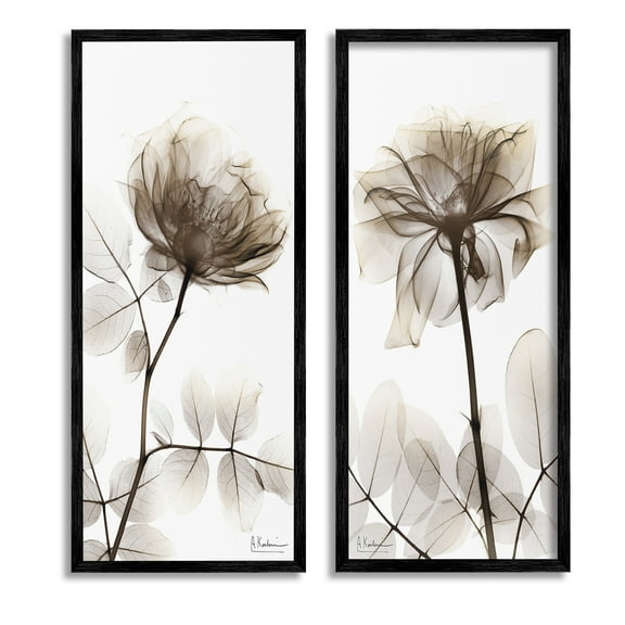 Stupell Industries Natural Modern Blooms Botanical & Floral Photography Black Framed Art Print Wall Art, 10 x 24, Set of 2