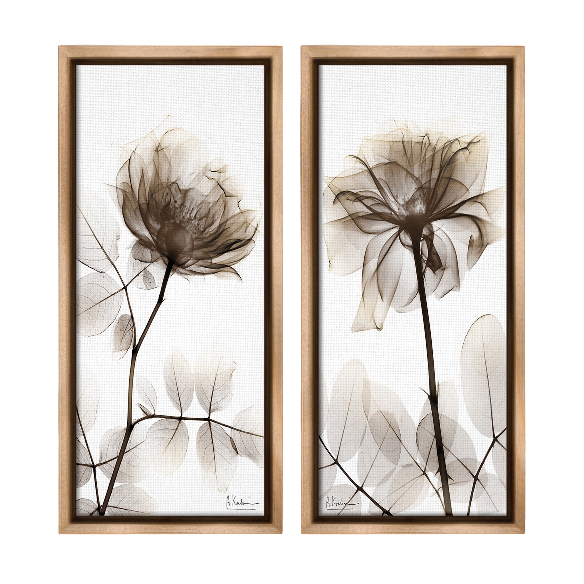Stupell Industries Natural Modern Blooms Botanical & Floral Photography Brown Floater Framed Canvas Art Print Wall Art, 11 x 25, Set of 2