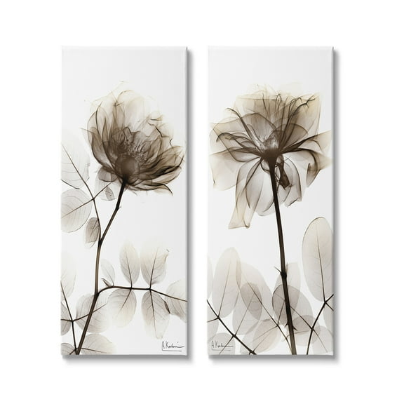 Stupell Industries Natural Modern Blooms Botanical & Floral Photography Gallery Wrapped Canvas Art Print Wall Art, 10 x 24, Set of 2