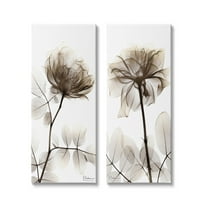 Stupell Industries Natural Modern Blooms Botanical & Floral Photography Gallery Wrapped Canvas Art Print Wall Art, 10 x 24, Set of 2