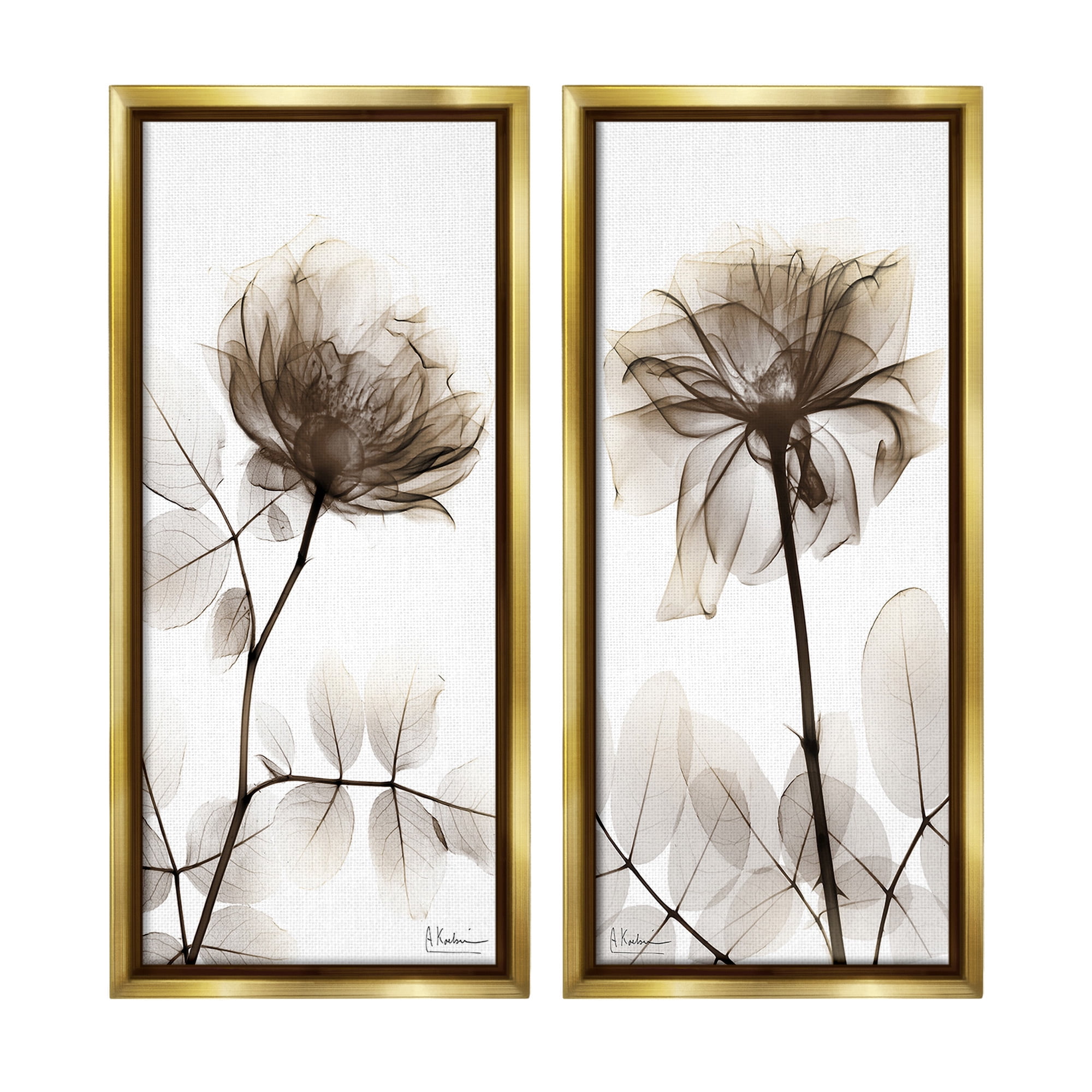 Stupell Industries Natural Modern Blooms Botanical & Floral Photography Gold Floater Framed Canvas Art Print Wall Art, 11 x 25, Set of 2