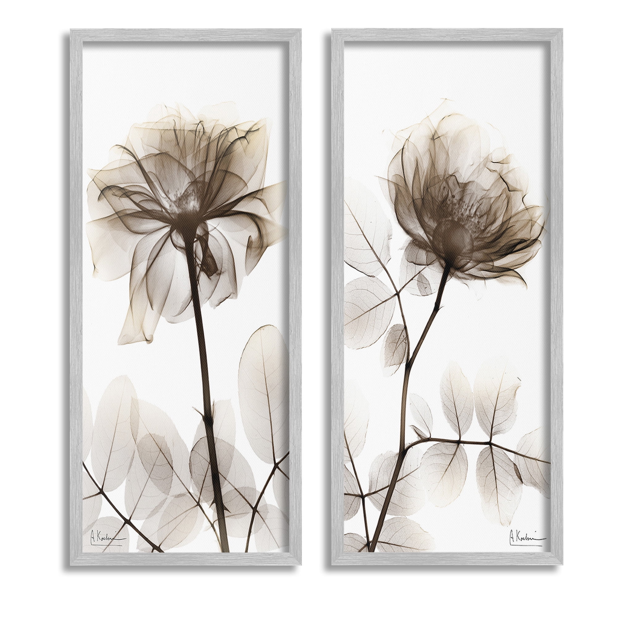 Stupell Industries Natural Modern Blooms Botanical & Floral Photography Gray Framed Art Print Wall Art, 10 x 24, Set of 2
