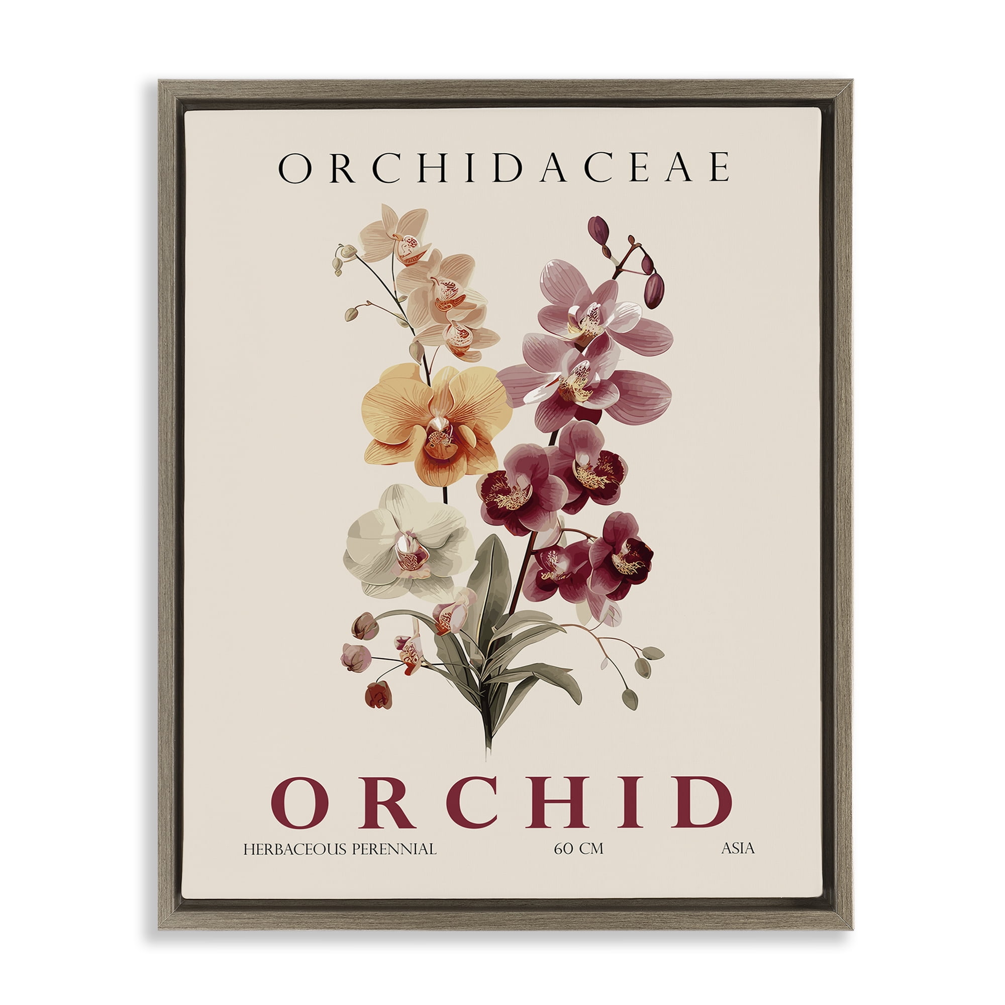 Stupell Industries Natural Orchid Bundle Brown Framed Floater Canvas Wall Art, design by Christopher Giampietro