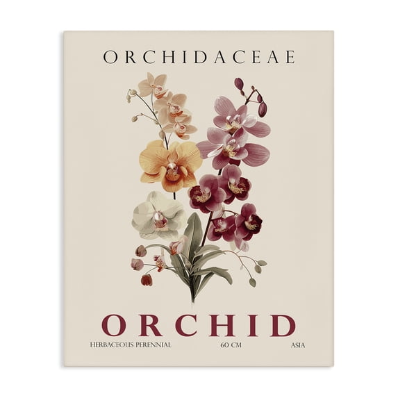 Stupell Industries Minimalist Natural Orchid Bundle Canvas Art, 30 x 40, by Christopher Giampietro