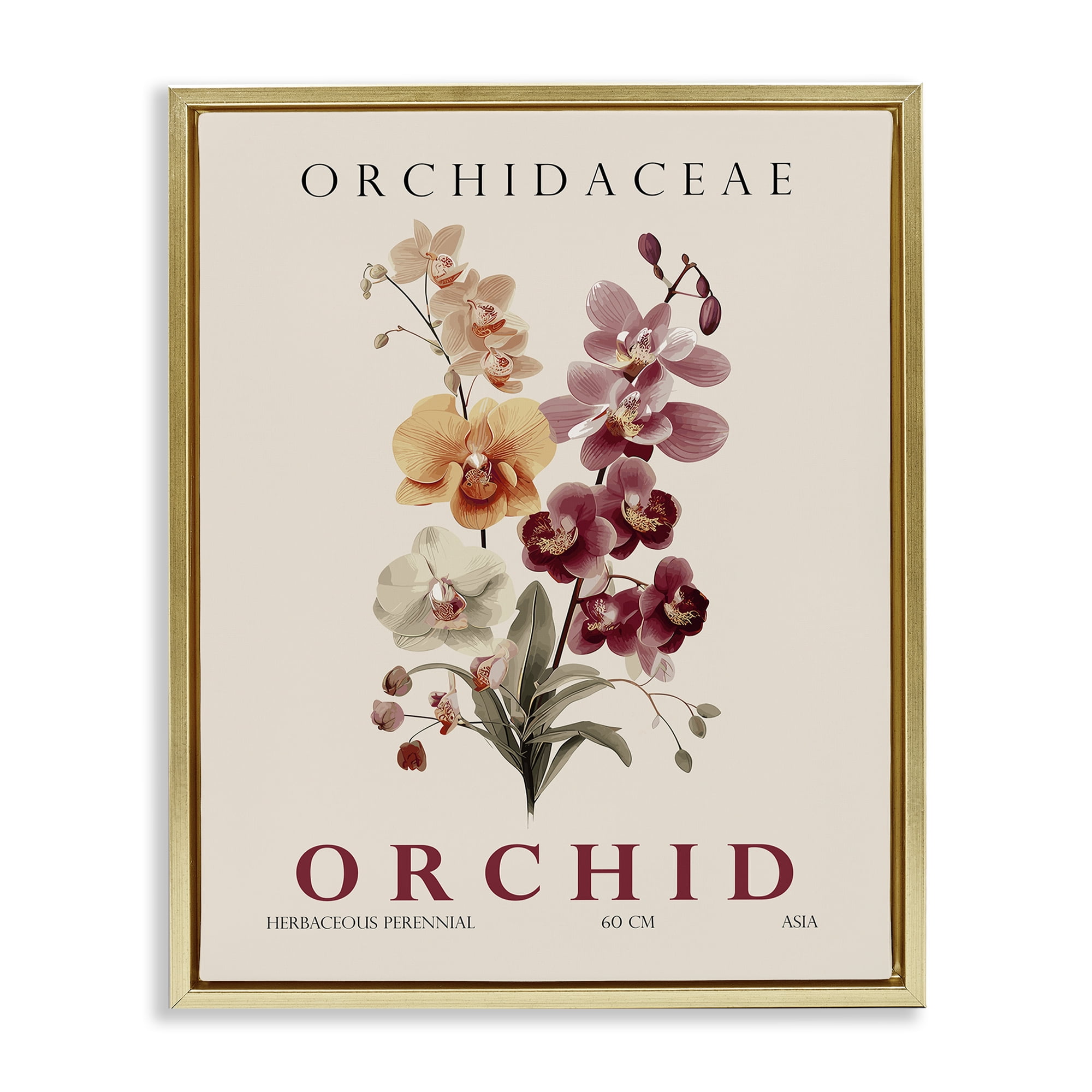 Stupell Industries Natural Orchid Bundle Gold Framed Floater Canvas Wall Art, design by Christopher Giampietro