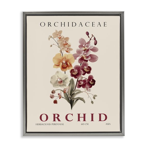 Stupell Industries Natural Orchid Bundle Gray Framed Floater Canvas Wall Art, design by Christopher Giampietro