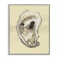 thumbnail image 1 of Stupell Industries Tropical Natural Oyster Shell Gray Framed Giclee Art, 16 x 20, by Michael Willett, 1 of 8