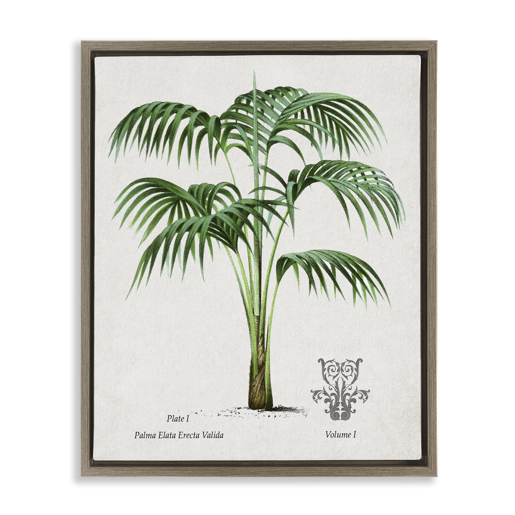 Stupell Industries Natural Palm Study Brown Framed Floater Canvas Wall Art, design by Val Rhodes
