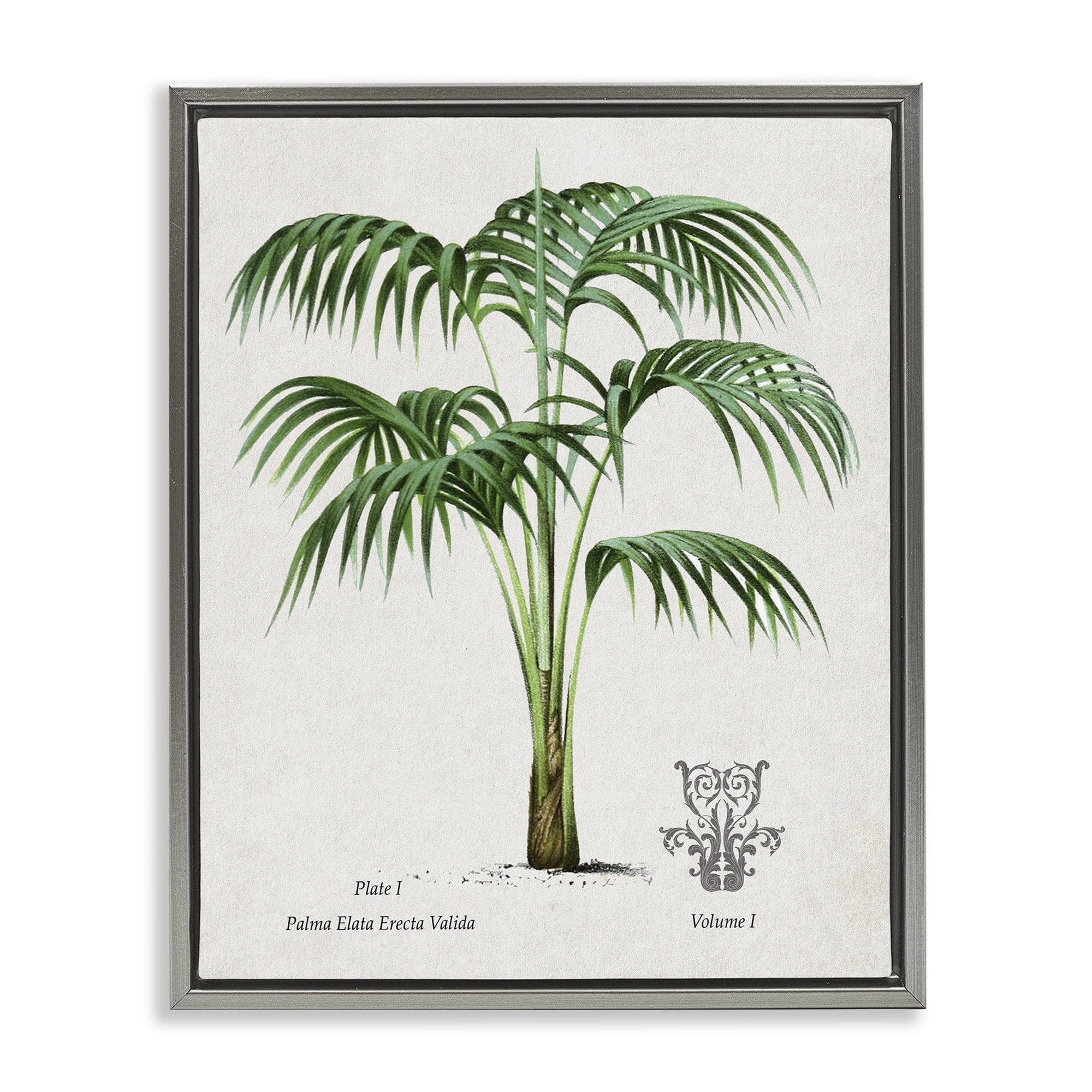 Stupell Industries Natural Palm Study Gray Framed Floater Canvas Wall Art, design by Val Rhodes