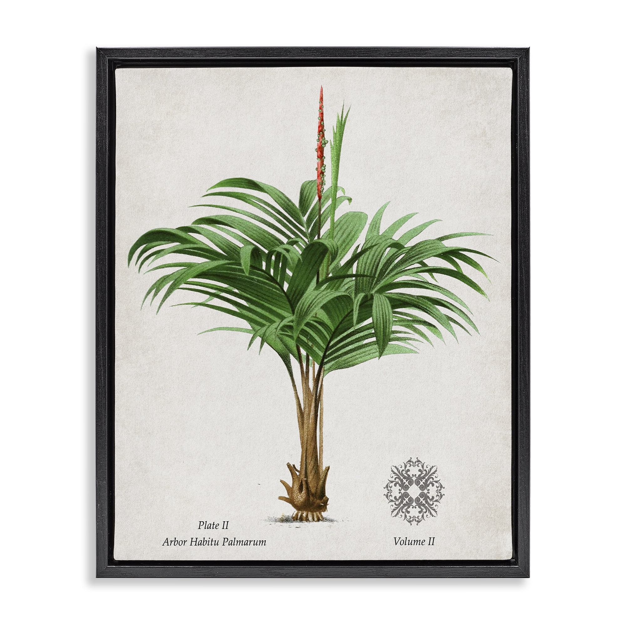 Stupell Industries Natural Palm Variety Study Black Framed Floater Canvas Wall Art, design by Val Rhodes
