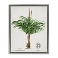 thumbnail image 1 of Stupell Industries Bohemian Natural Palm Variety Study Gray Floating Frame Canvas Art, 17 x 21, by Val Rhodes, 1 of 8