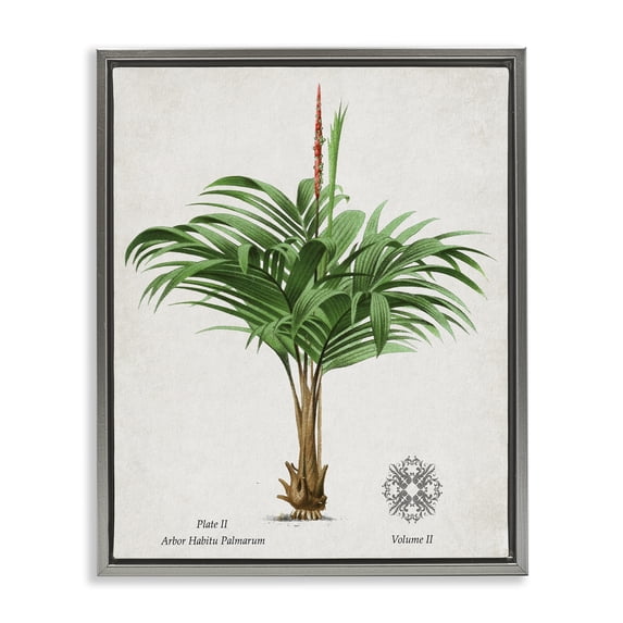 Stupell Industries Bohemian Natural Palm Variety Study Gray Floating Frame Canvas Art, 17 x 21, by Val Rhodes