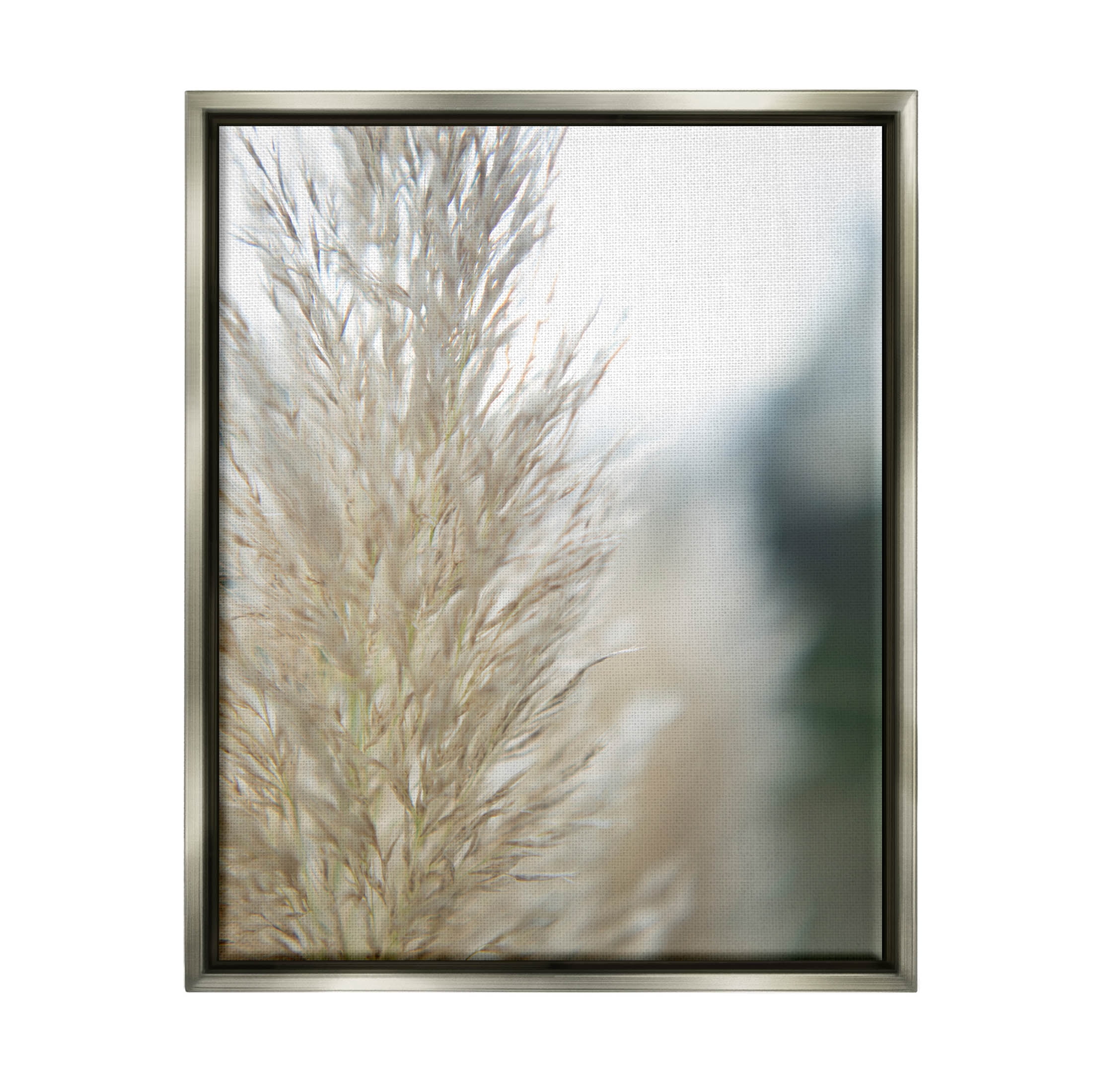 Stupell Industries Natural Pampas Grass Photography Scene Photograph Luster Gray Floating Framed Canvas Print Wall Art, Design by Jason Johnson