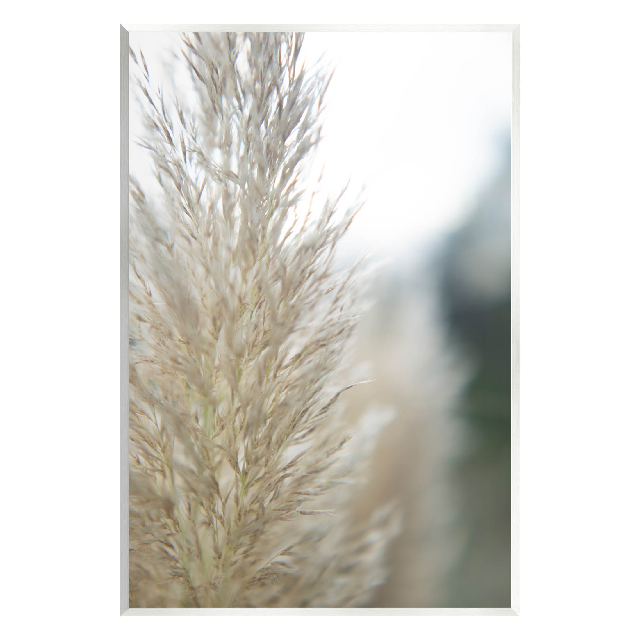 Stupell Industries Natural Pampas Grass Photography Scene Photograph Unframed Art Print Wall Art, Design by Jason Johnson