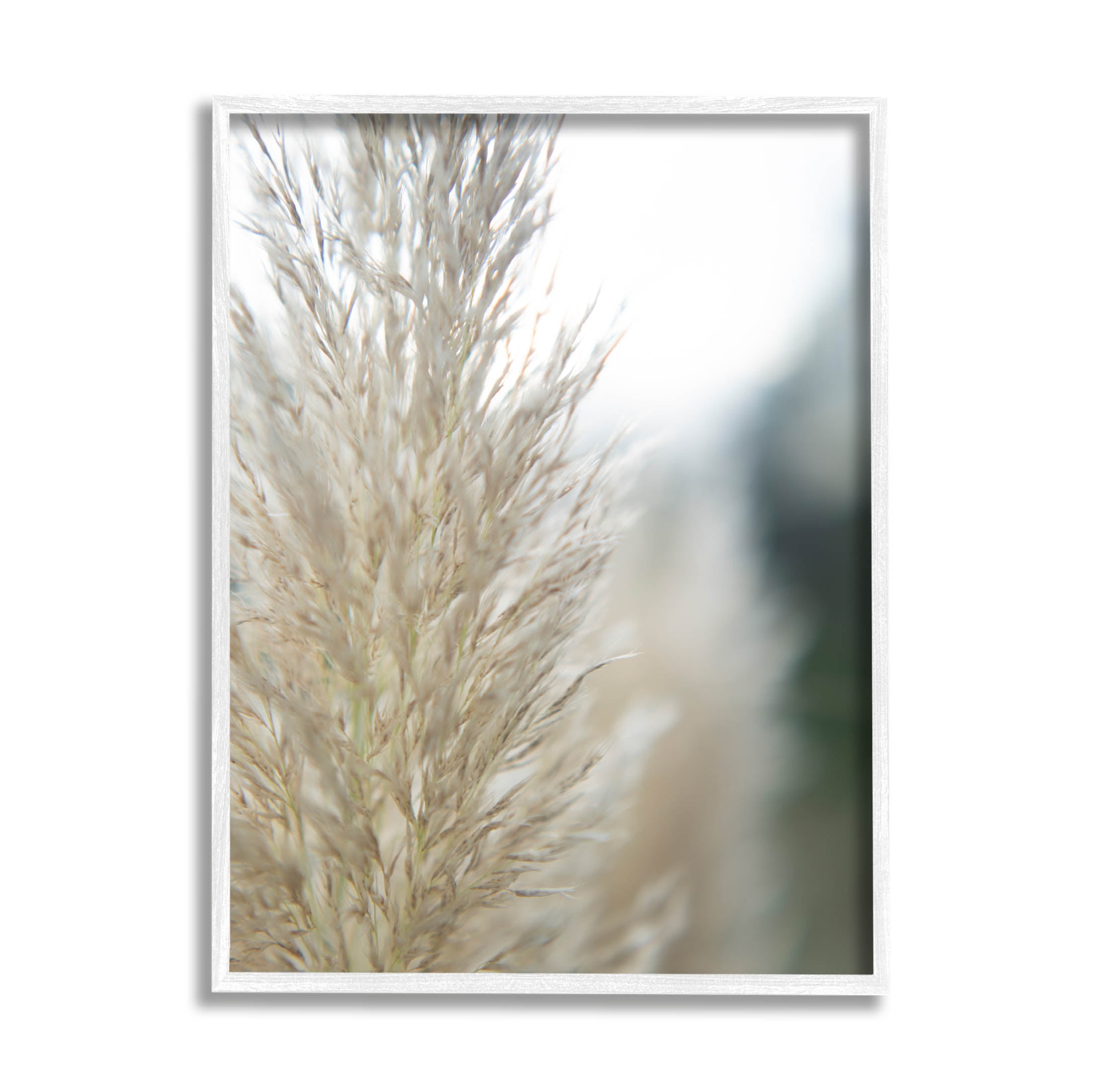 Stupell Industries Natural Pampas Grass Photography Scene Photograph White Framed Art Print Wall Art, Design by Jason Johnson