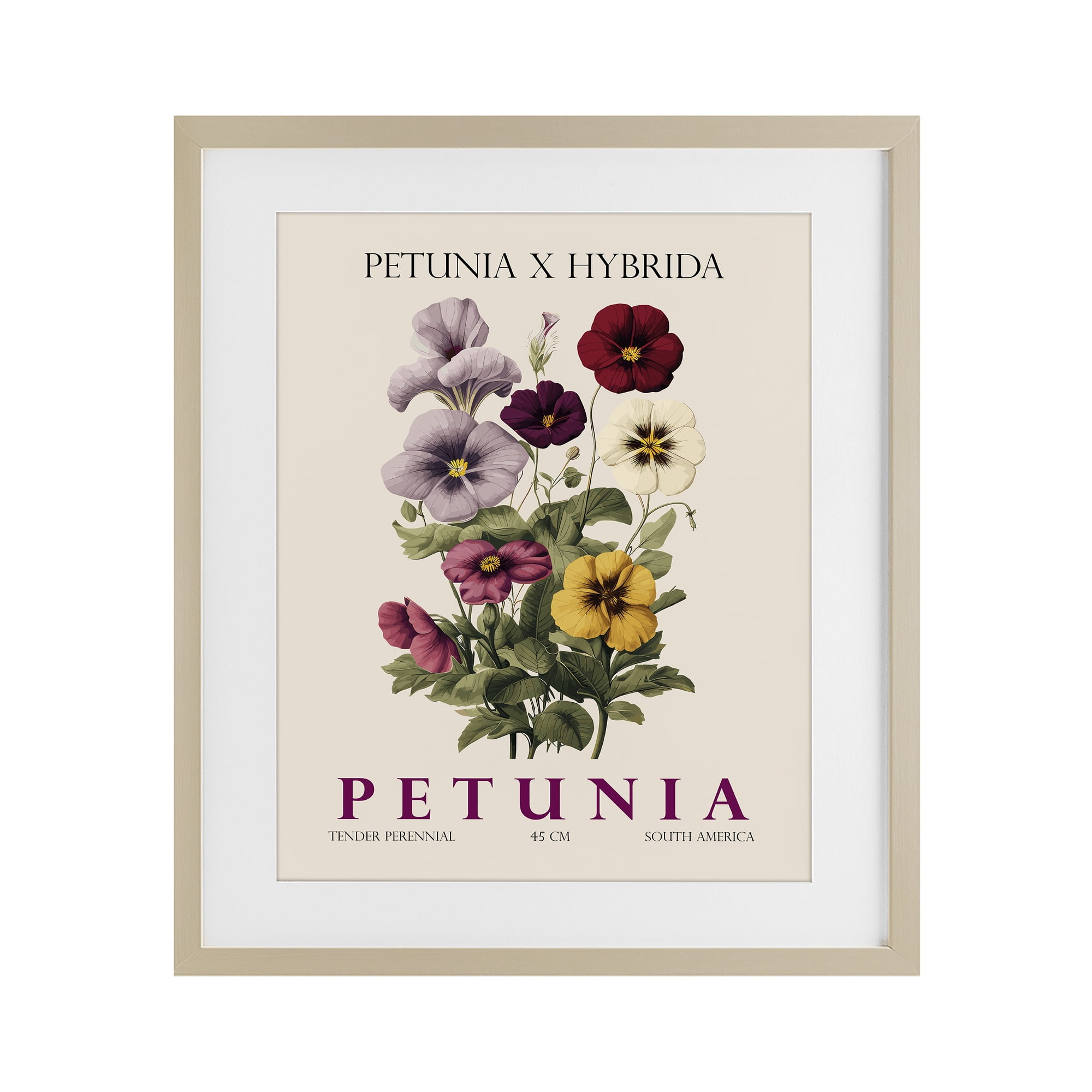 Stupell Industries Natural Petunia Bundle Birch Framed Print Under Glass, design by Christopher Giampietro