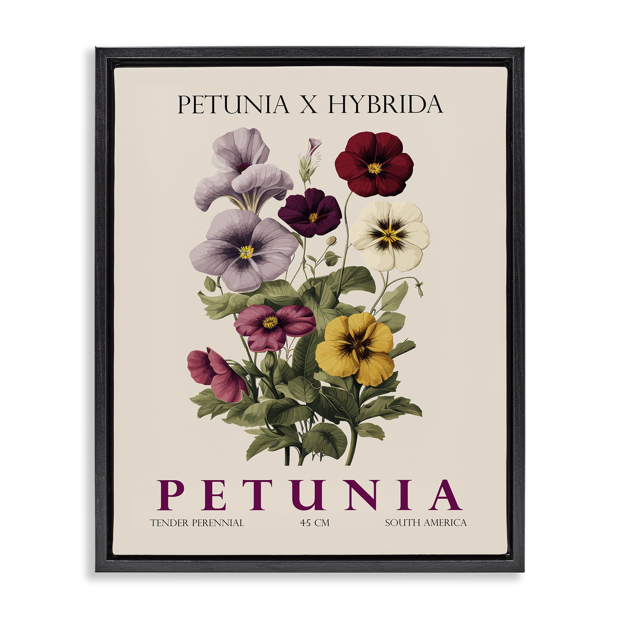 Stupell Industries Natural Petunia Bundle Black Framed Floater Canvas Wall Art, design by Christopher Giampietro