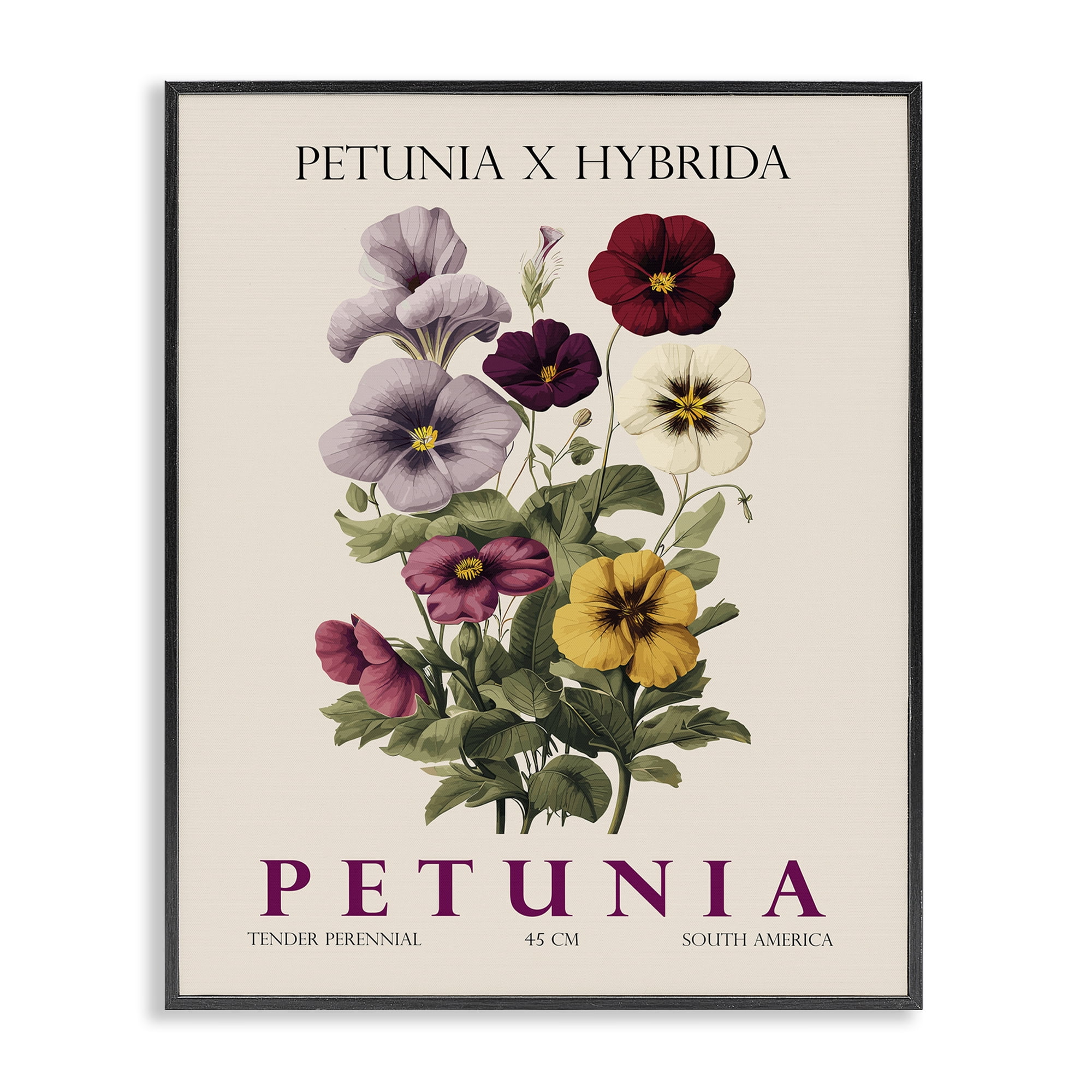 Stupell Industries Natural Petunia Bundle Black Framed Giclee Art, design by Christopher Giampietro