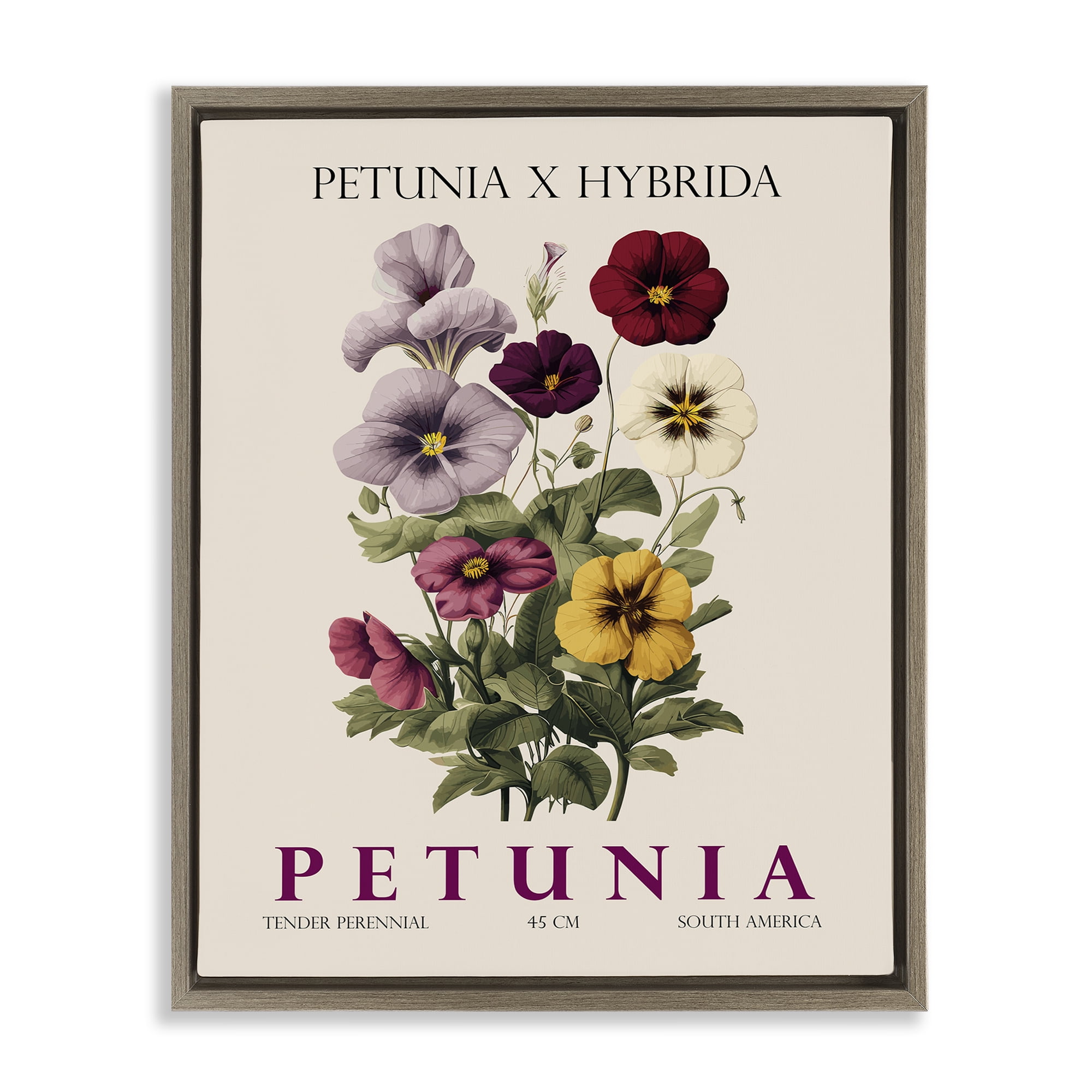 Stupell Industries Natural Petunia Bundle Brown Framed Floater Canvas Wall Art, design by Christopher Giampietro