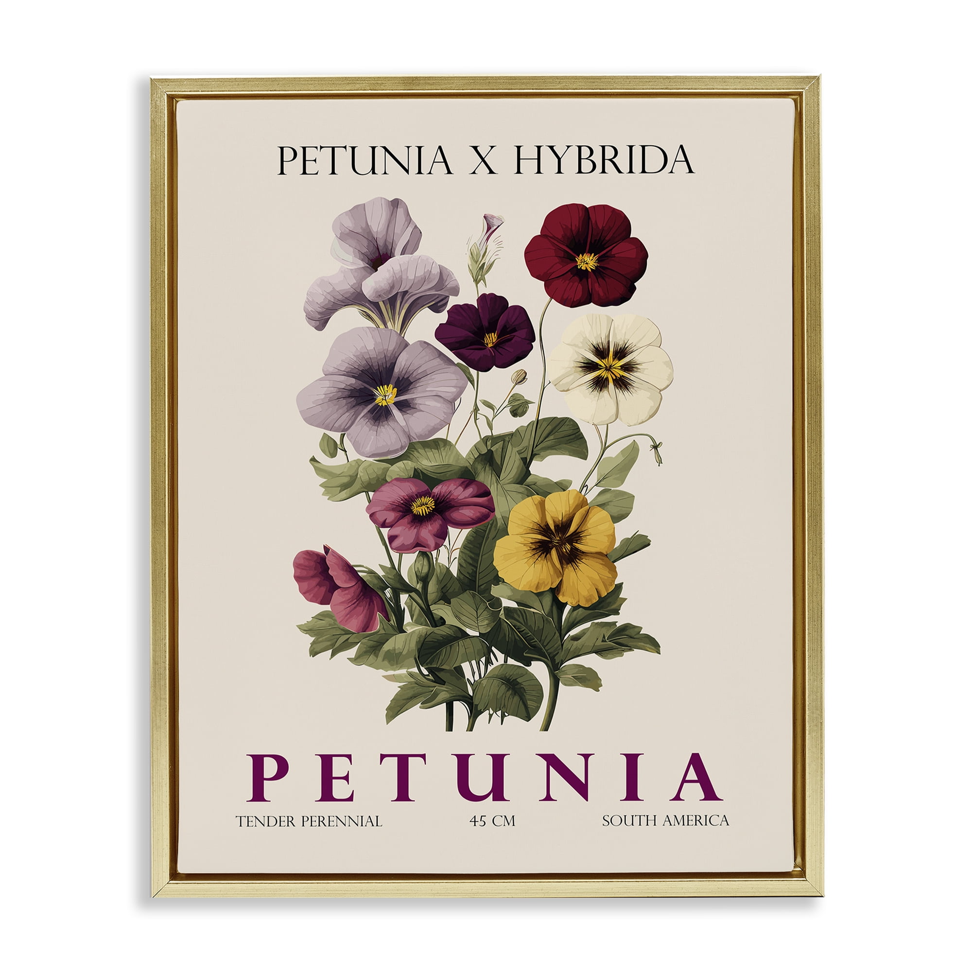 Stupell Industries Natural Petunia Bundle Gold Framed Floater Canvas Wall Art, design by Christopher Giampietro