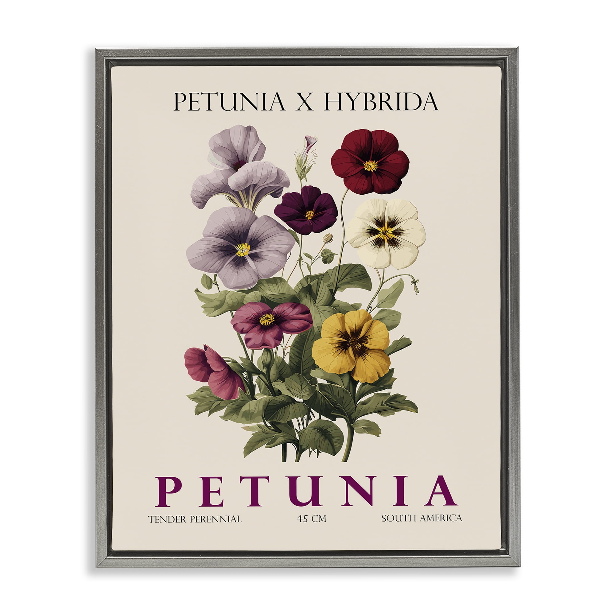 Stupell Industries Natural Petunia Bundle Gray Framed Floater Canvas Wall Art, design by Christopher Giampietro