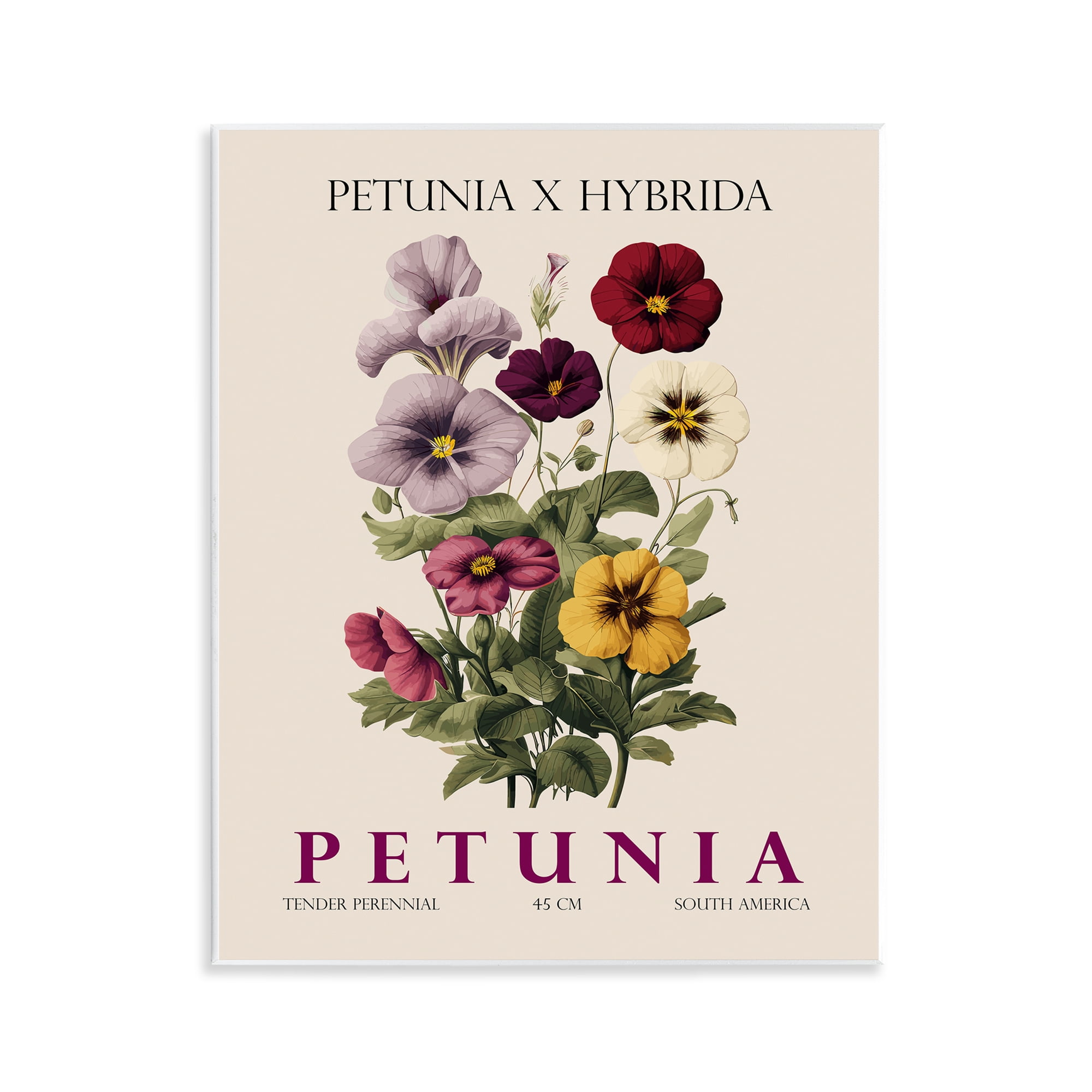 Stupell Industries Natural Petunia Bundle Wall Plaque Art, design by Christopher Giampietro