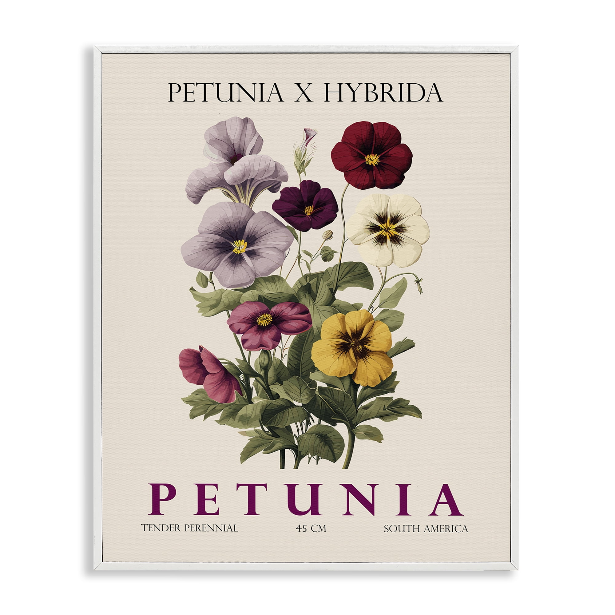 Stupell Industries Natural Petunia Bundle White Framed Giclee Art, design by Christopher Giampietro