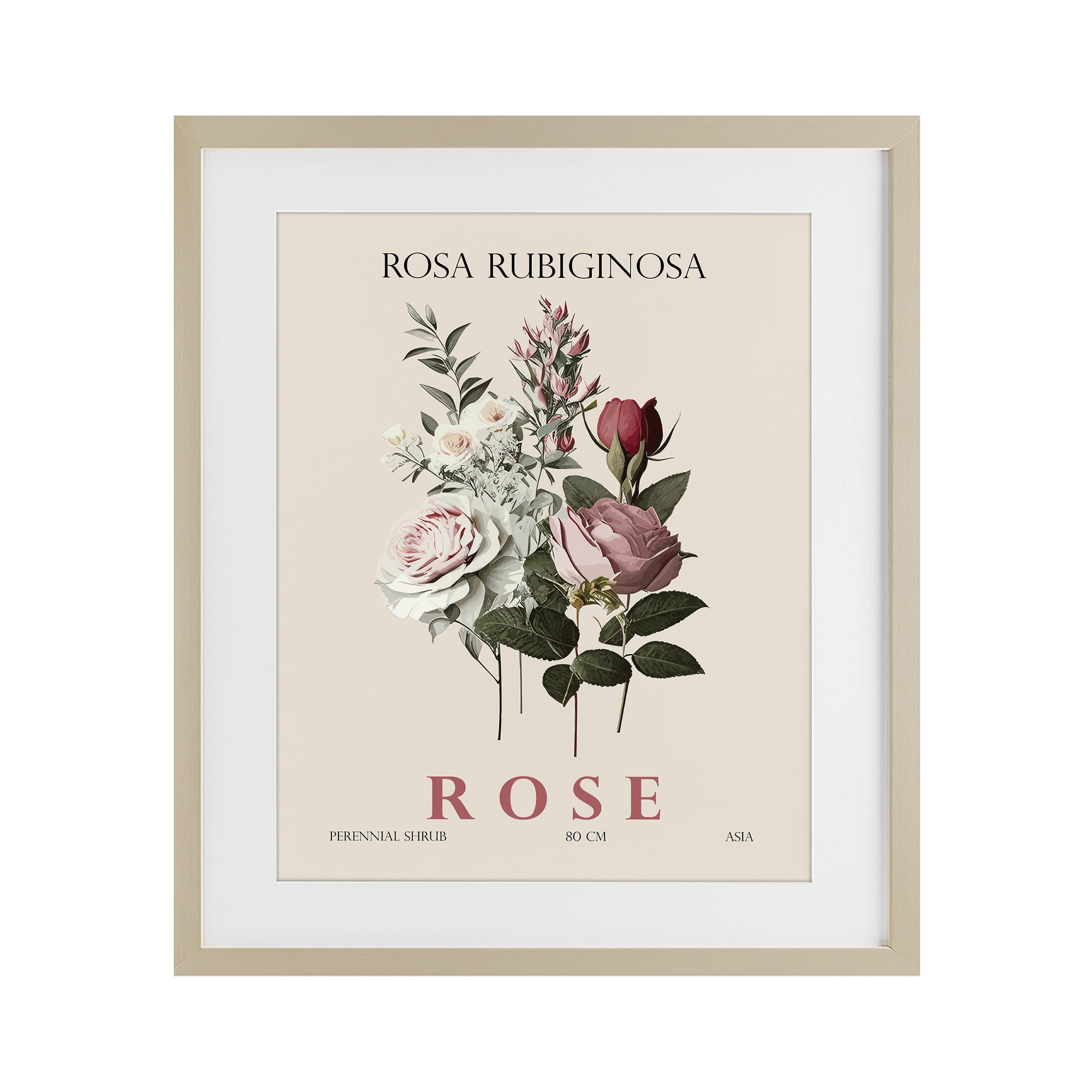 Stupell Industries Natural Rose Bundle Birch Framed Print Under Glass, design by Christopher Giampietro