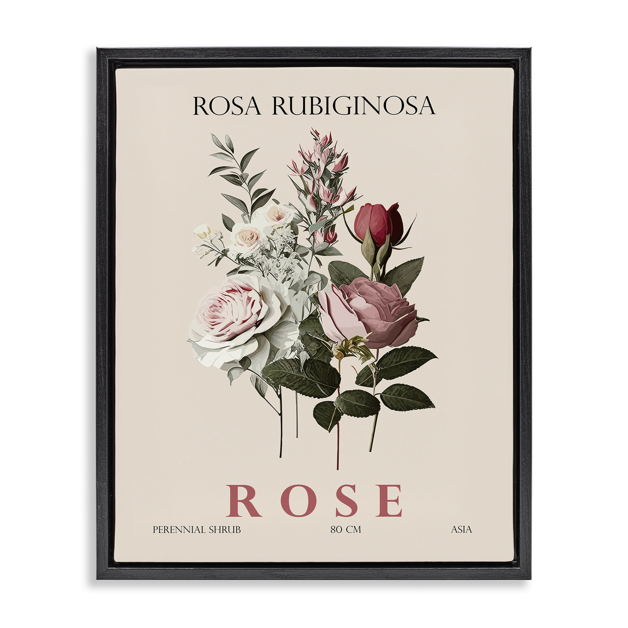 Stupell Industries Natural Rose Bundle Black Framed Floater Canvas Wall Art, design by Christopher Giampietro