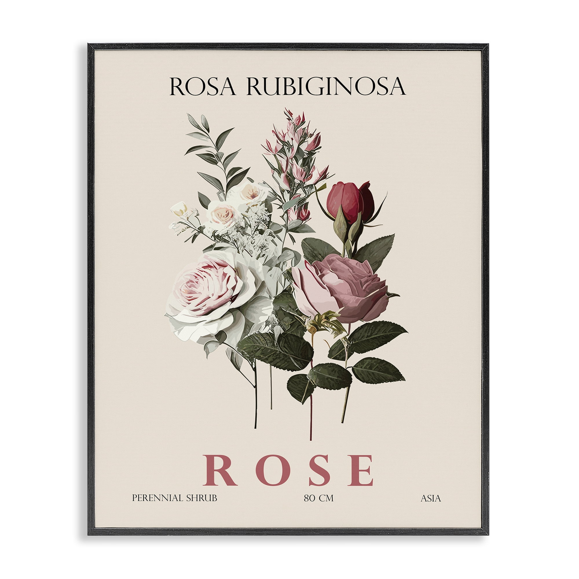 Stupell Industries Natural Rose Bundle Black Framed Giclee Art, design by Christopher Giampietro