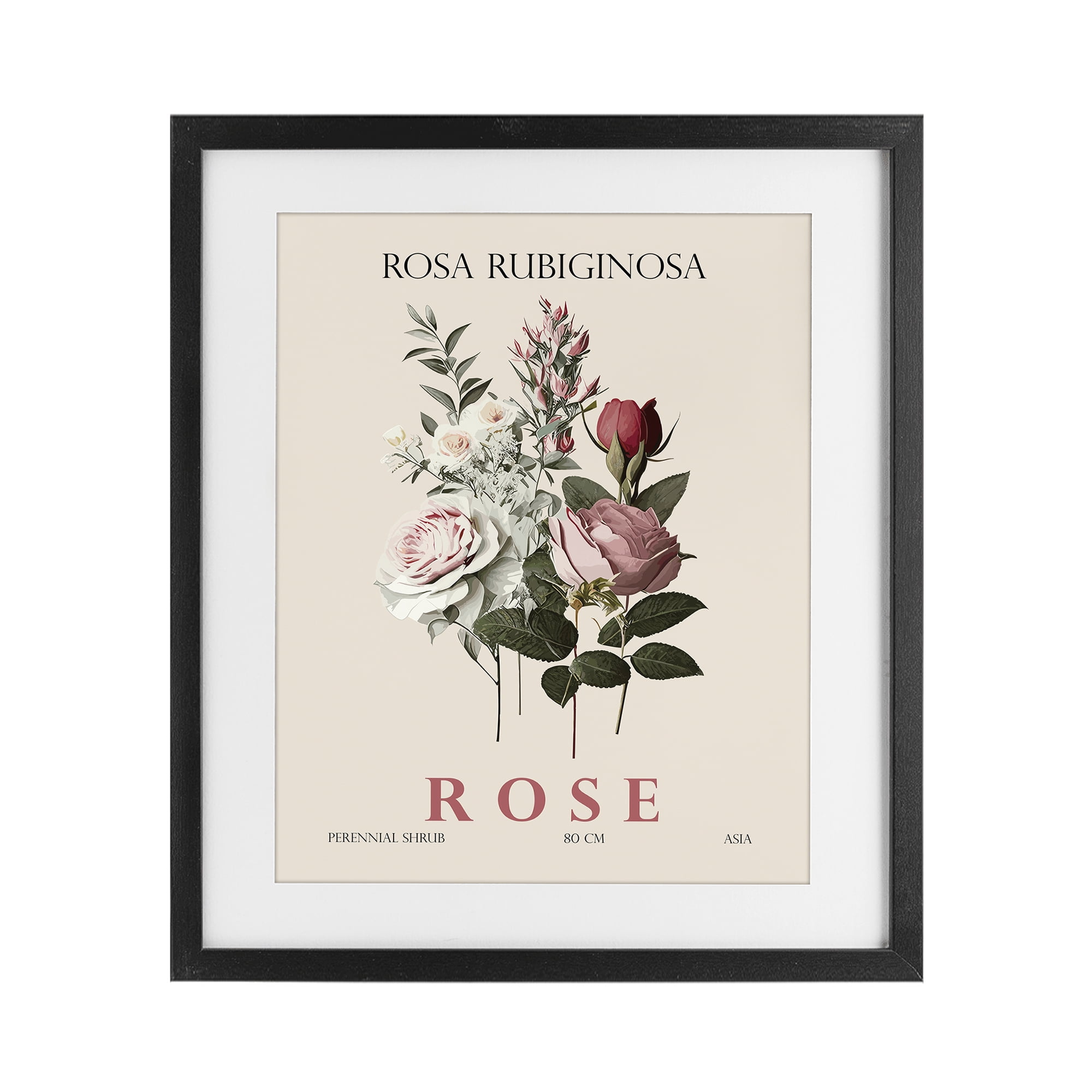 Stupell Industries Natural Rose Bundle Black Framed Print Under Glass, design by Christopher Giampietro