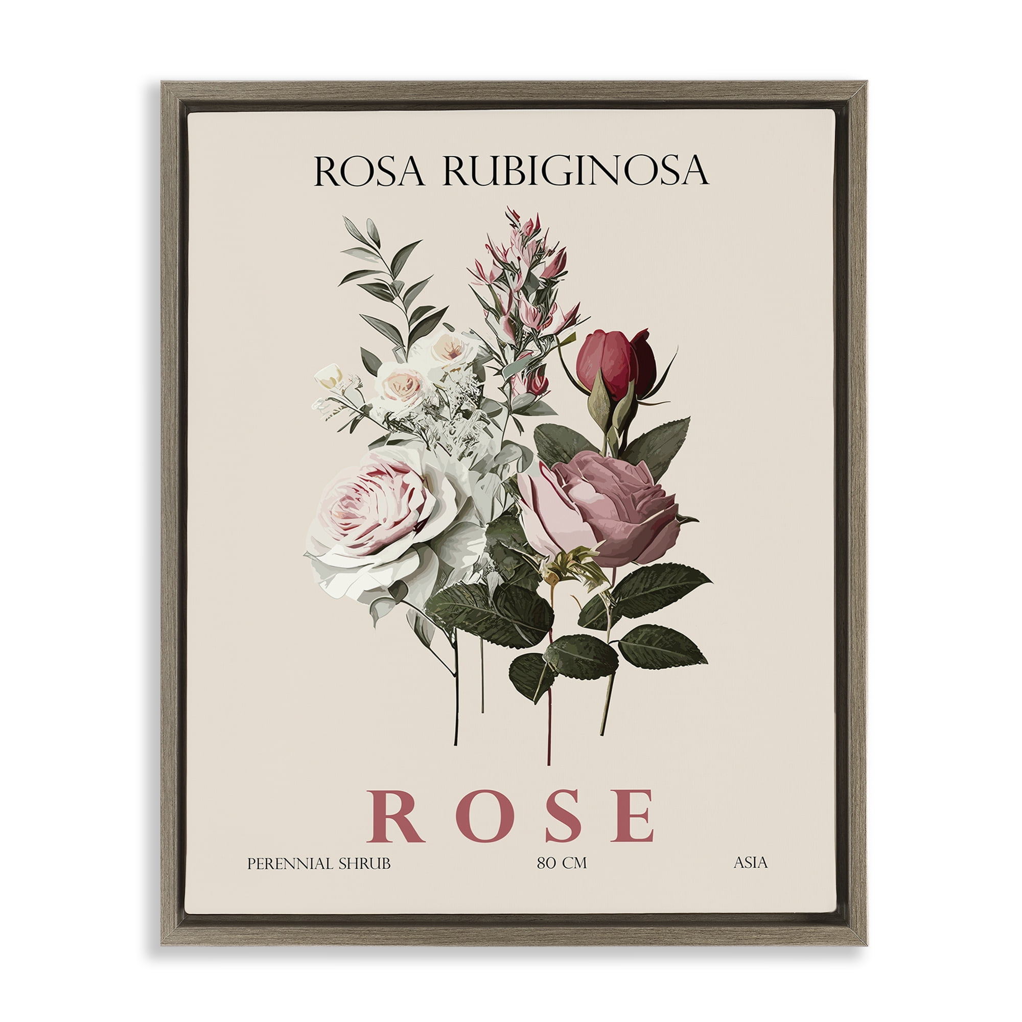 Stupell Industries Natural Rose Bundle Brown Framed Floater Canvas Wall Art, design by Christopher Giampietro