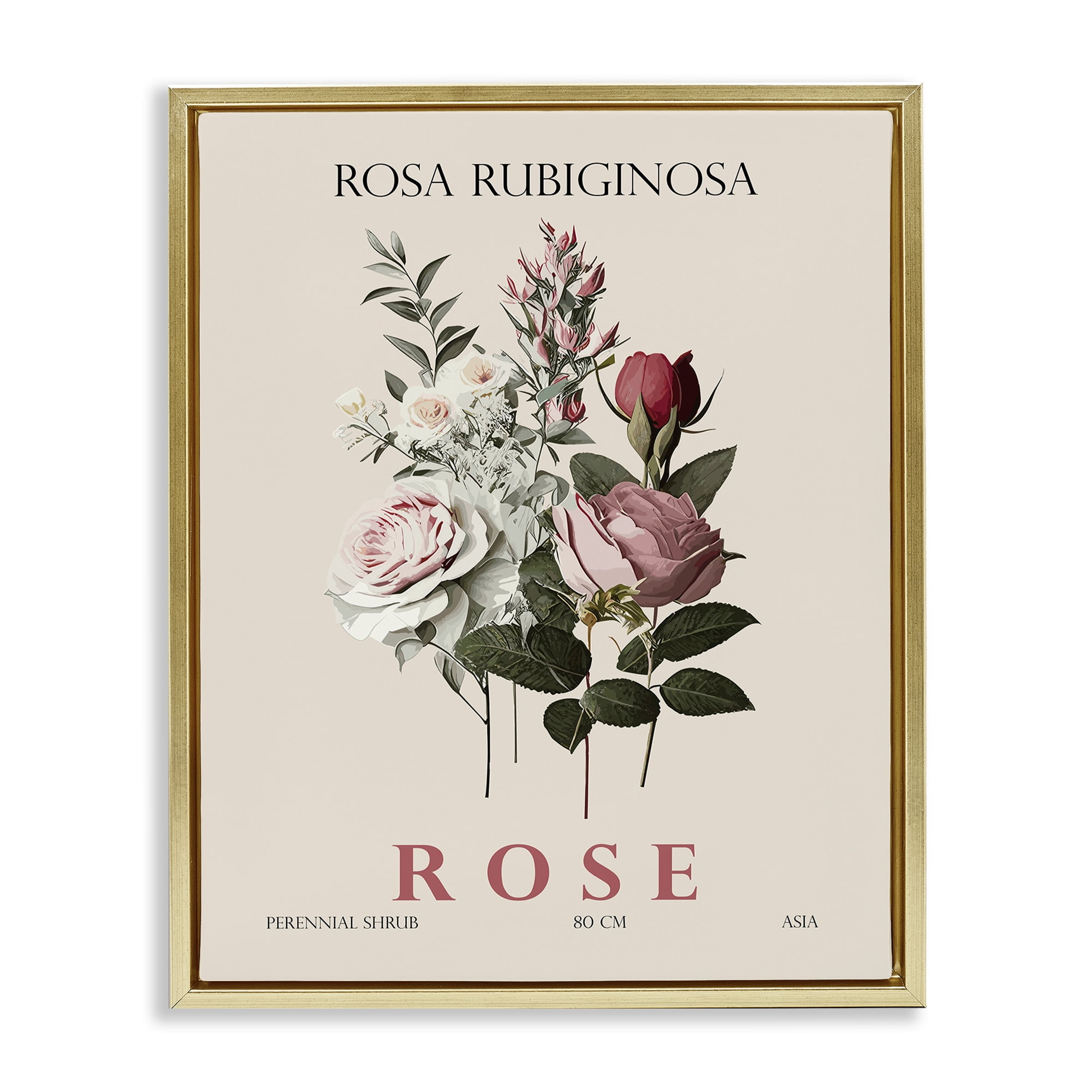 Stupell Industries Natural Rose Bundle Gold Framed Floater Canvas Wall Art, design by Christopher Giampietro